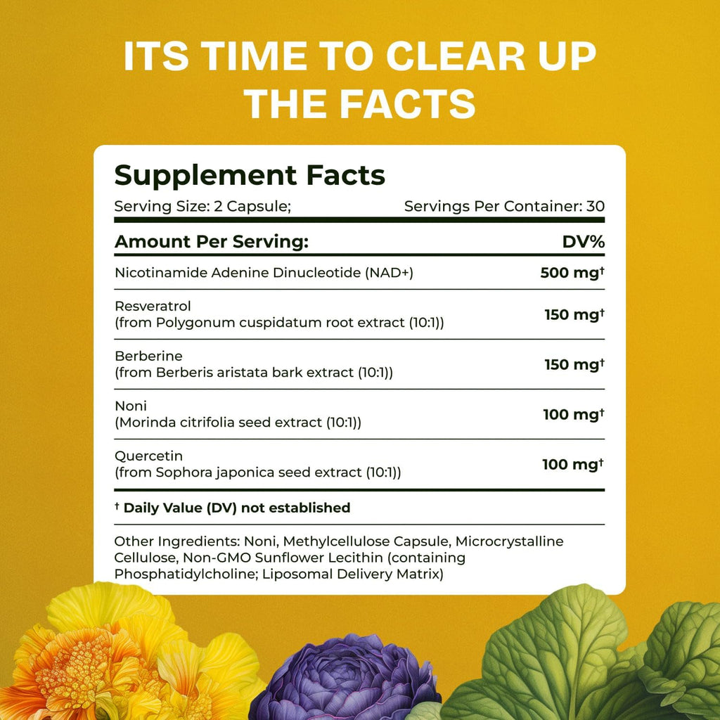 Liposomal NAD Supplement for Women w/Noni | 5-in-1 NAD Resveratrol Supplement w/Berberine & Quercetin | Pure NMN Powder Alternative | Supports Anti Aging & NAD+ Levels | 60 caps - 1 Pack Resurrected Health Au supplements