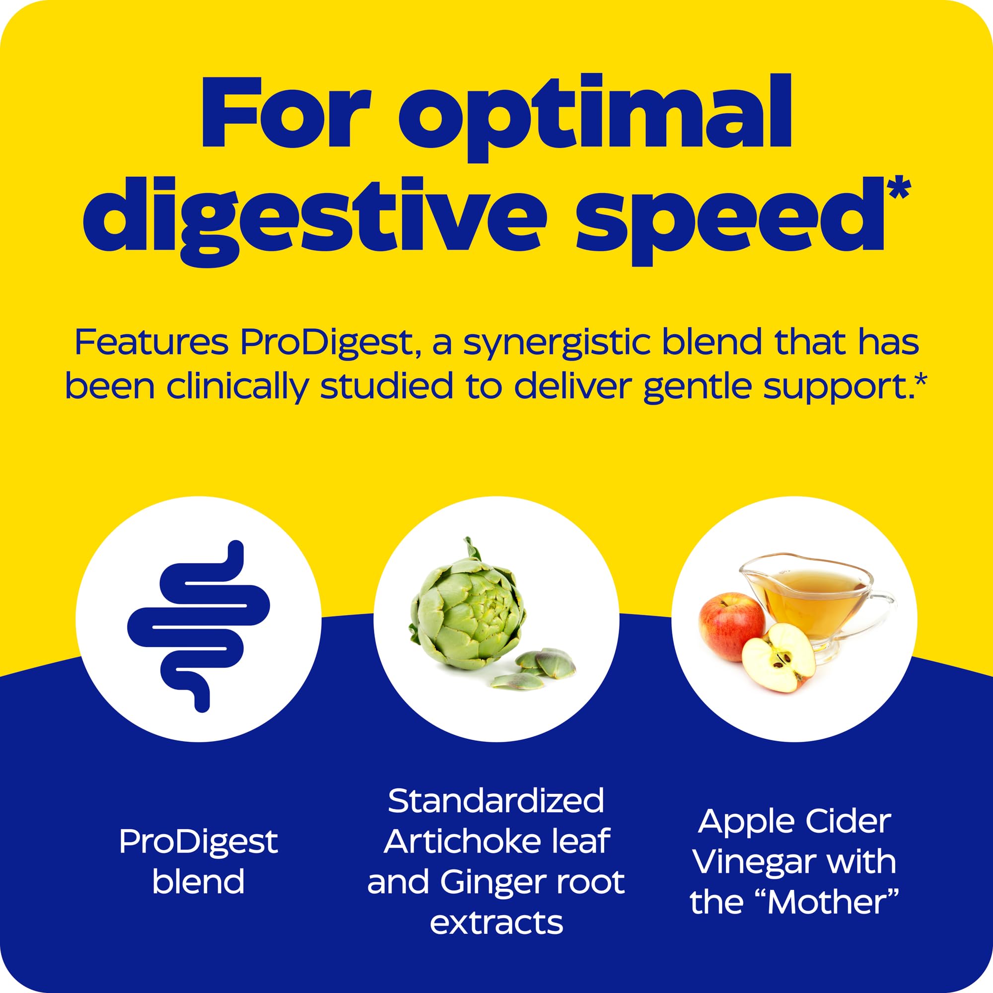 Enzymedica Gut Motility Supplement for Men & Women - Apple Cider Vinegar Capsules with Artichoke & Ginger Extract, Digestive Health Support for Adults