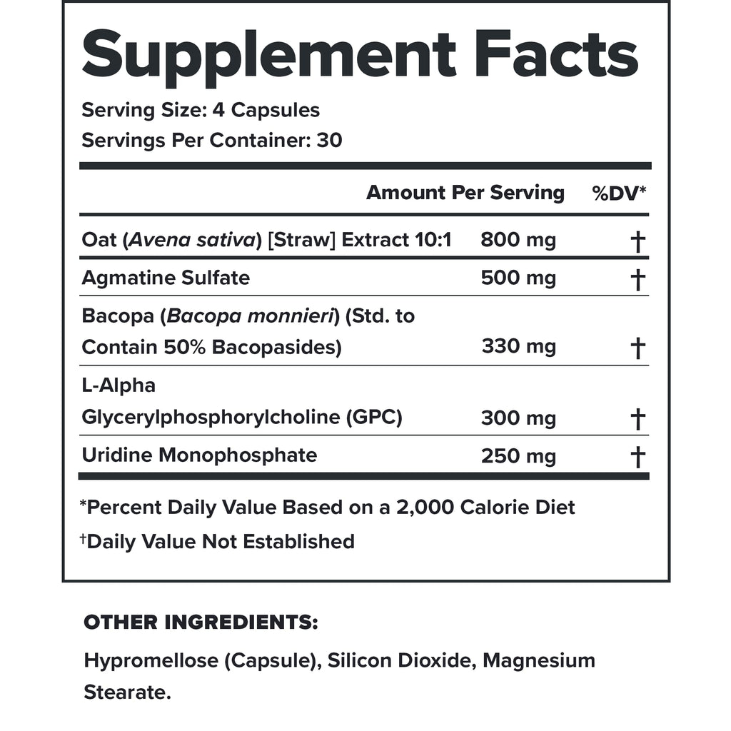 LEGION Athletics Ascend Nootropic - All-Natural Brain Supplements for Memory and Focus - Nootropics Brain Support Supplement with Alpha-GPC - Brain Supplement for Alertness & Mood Support, 30 Servings LEGION Au supplements
