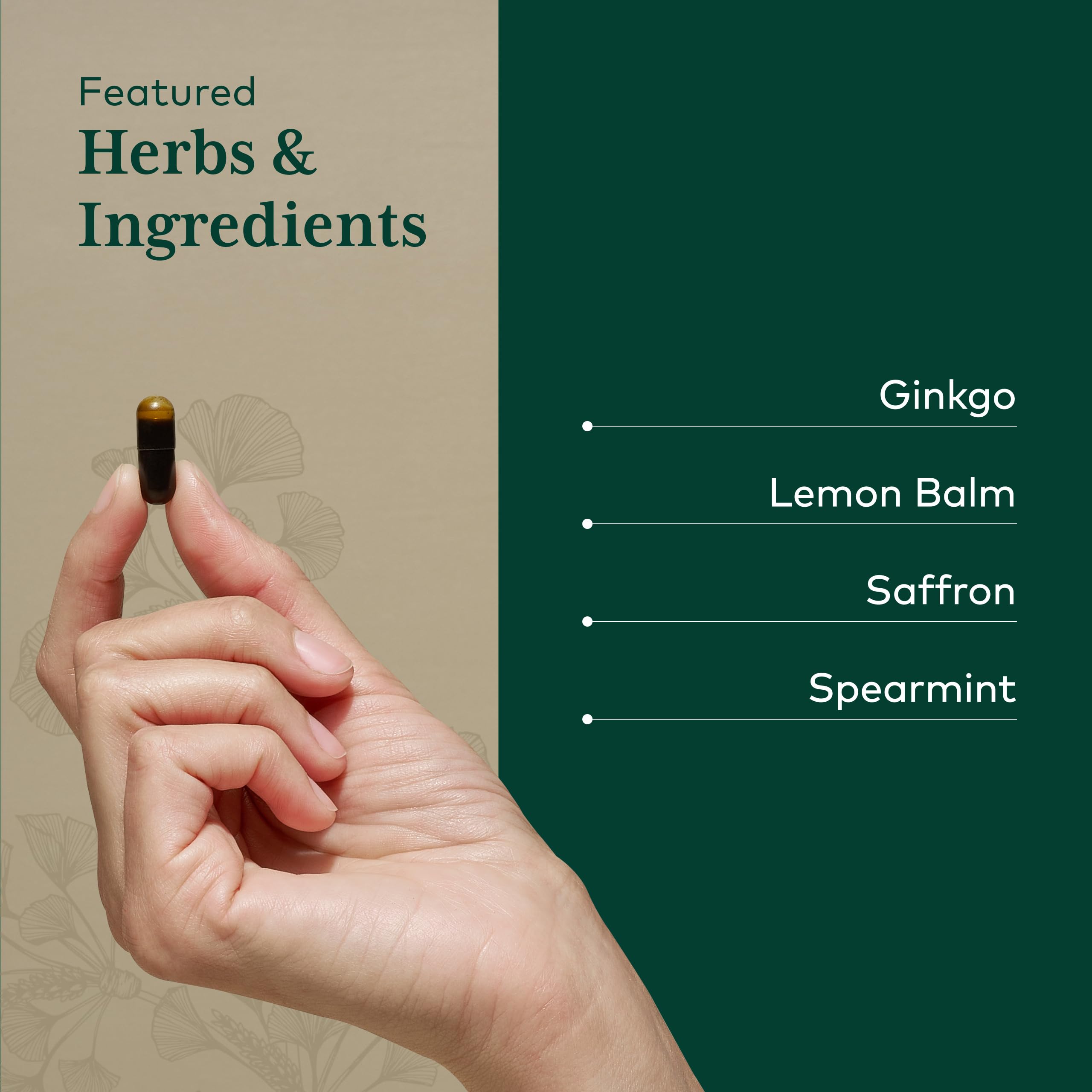 GAIA HERBS PRO Nootropic Focus - Brain Health Support Supplement* - Nootropic Supplement with Saffron, Ginkgo Leaf Extract & Lemon Balm - Vegan, Gluten-Free - 40 Liquid Phyto-Caps (20 Servings) Gaia Herbs PRO Au supplements