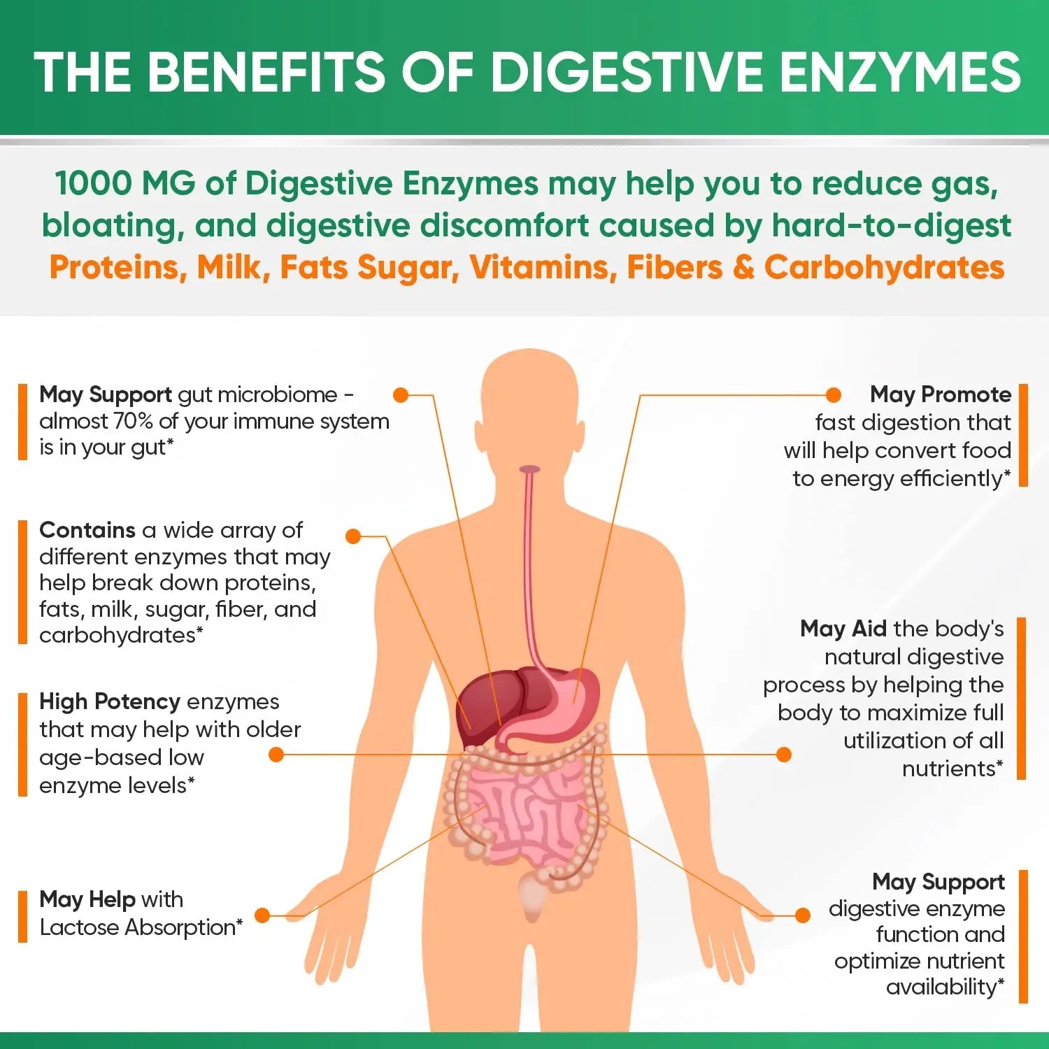 Wholesome Wellness Digestive Enzymes 1000MG Plus Prebiotics & Probiotics Supplement, 180 Capsules, Organic Plant-Based Vegan Formula for Digestion Wholesome Wellness Au supplements
