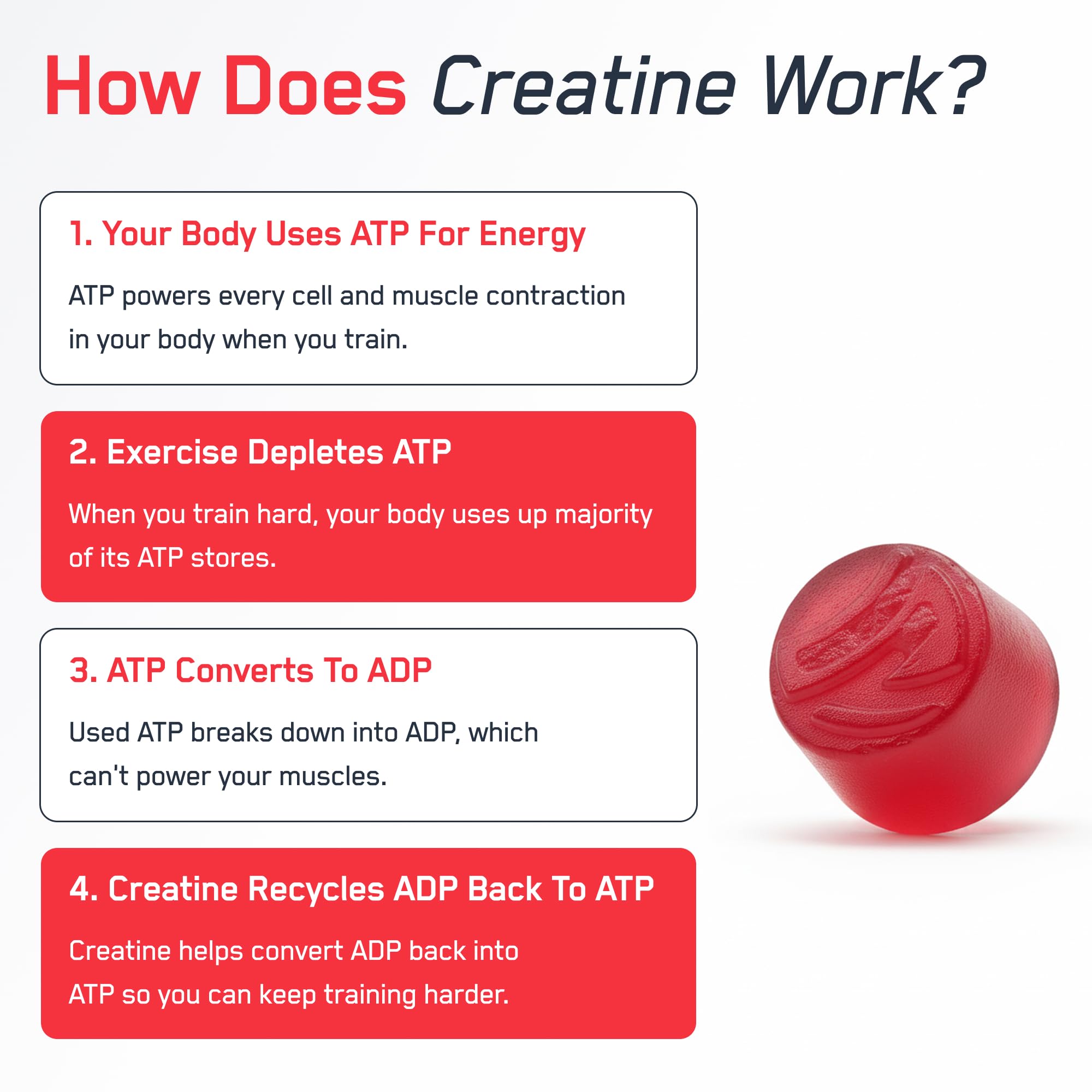 SteelFit Creapure Creatine Monohydrate Gummies for Men & Women, Juicy Watermelon - Gym Workout Nutritional Supplements for Muscle Gain, Brain Health & Strength Building Dietary Supplement, 120 Gummies SteelFit Au supplements