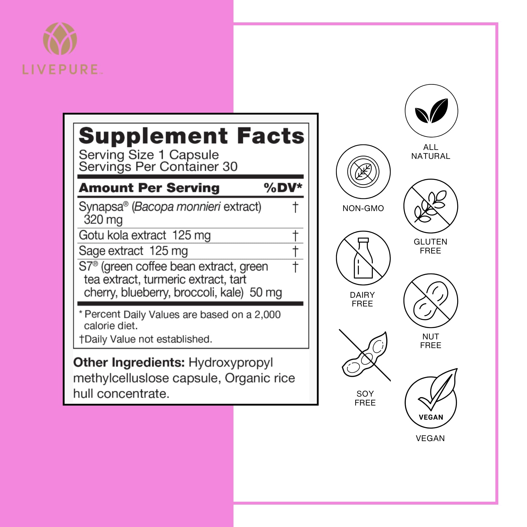 Pure Neuro Boost | 30 Capsules |  Supplement to Support Energy, Memory, and Focus | Supports Better Concentration & Healthy Brain Function