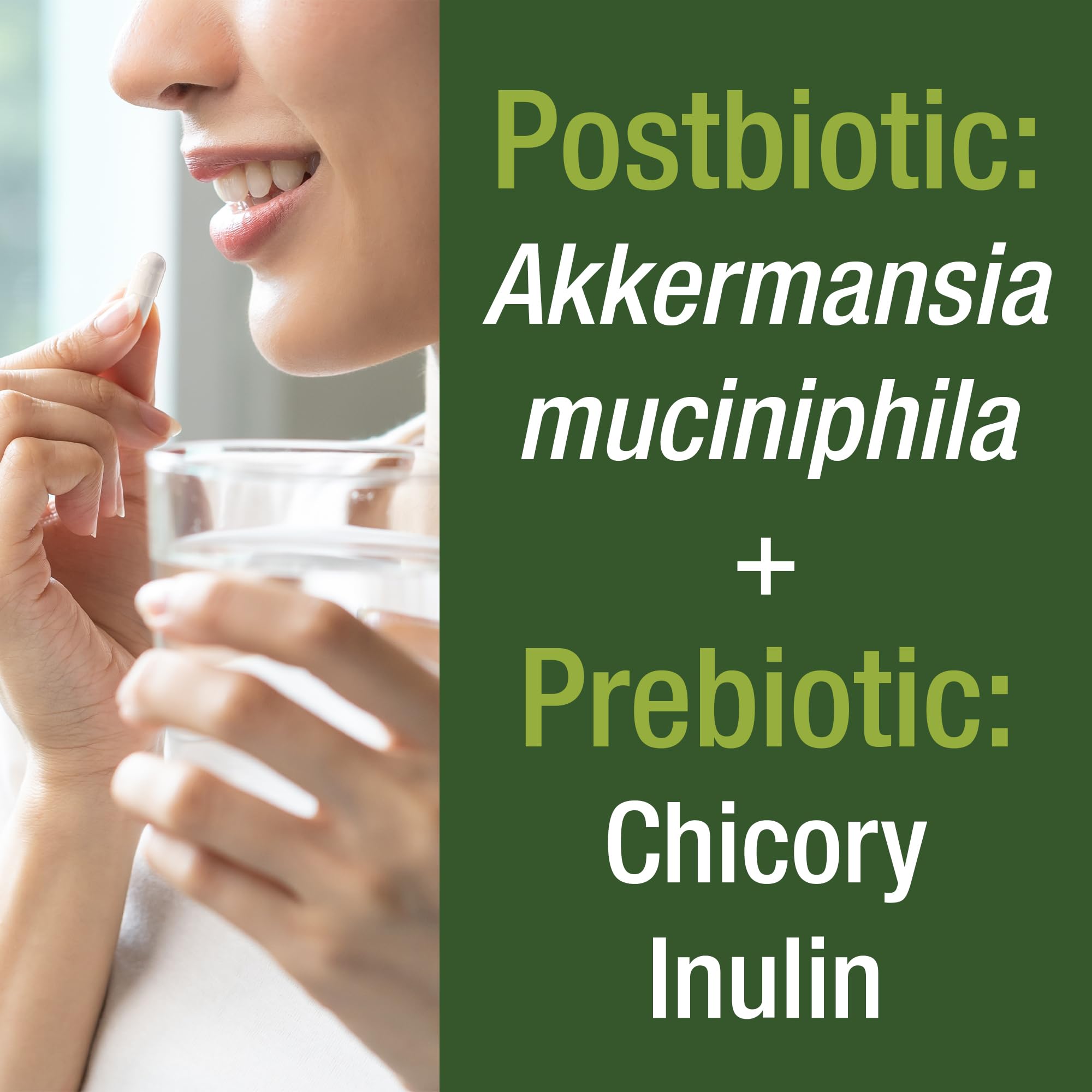 Akkermansia Probiotic to Increase GLP-1 Production. Ultra High Strength Akkermansia Muciniphila Live Strain with Prebiotic Fiber for Gut Health & Microbiome Balance. Delayed Release, 3rd Party Tested Peak Performance Au supplements