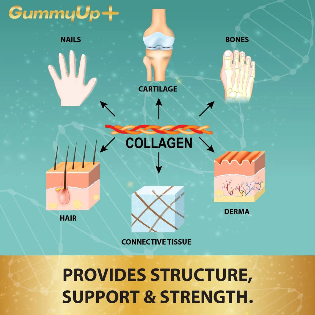 Hydrolysed Collagen Gummies with Biotin, 60 Sugar Free Natural Pineapple Flavoured Gummies ZA ZACANNA Au supplements