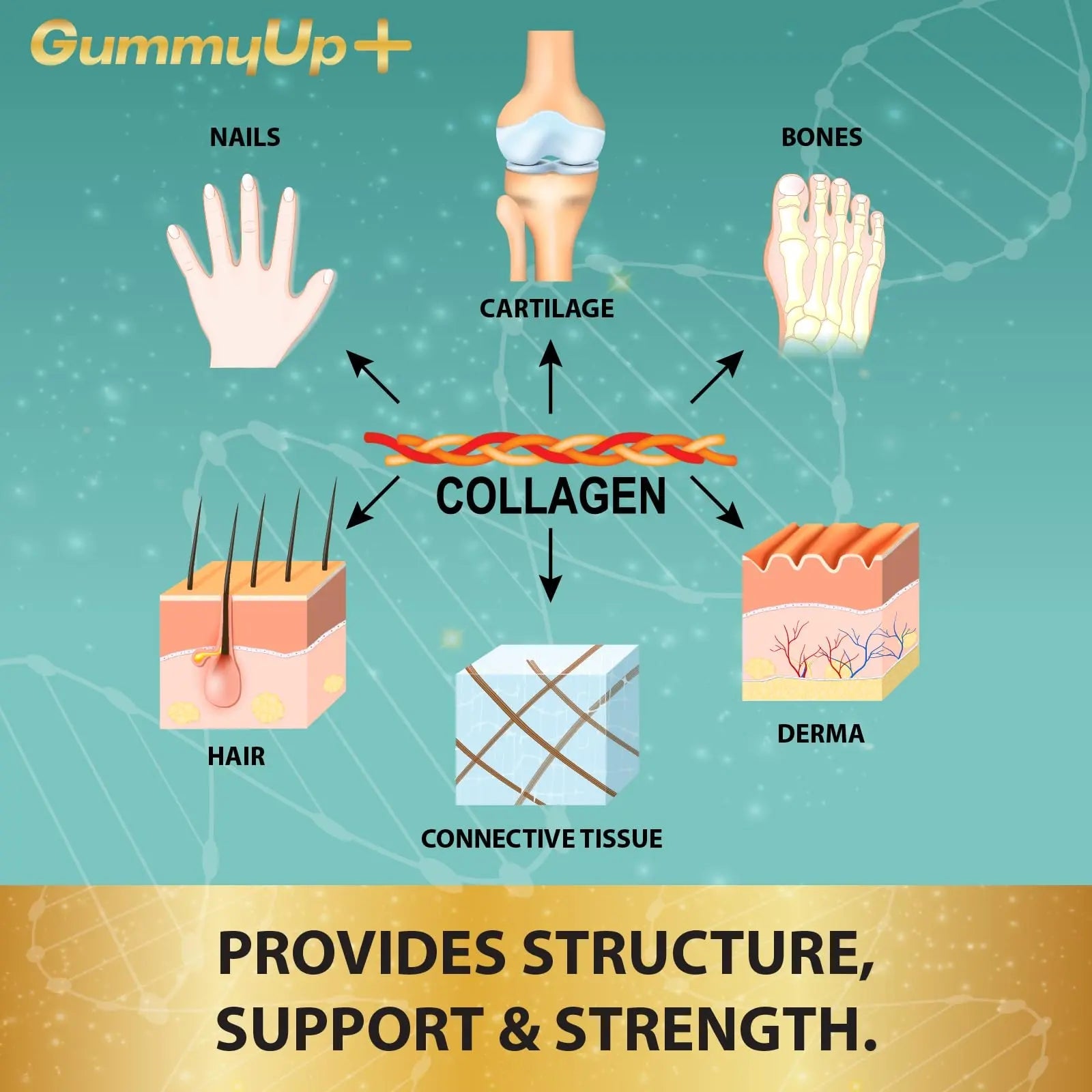 Hydrolysed Collagen Gummies with Biotin, 60 Sugar Free Natural Pineapple Flavoured Gummies ZA ZACANNA Au supplements