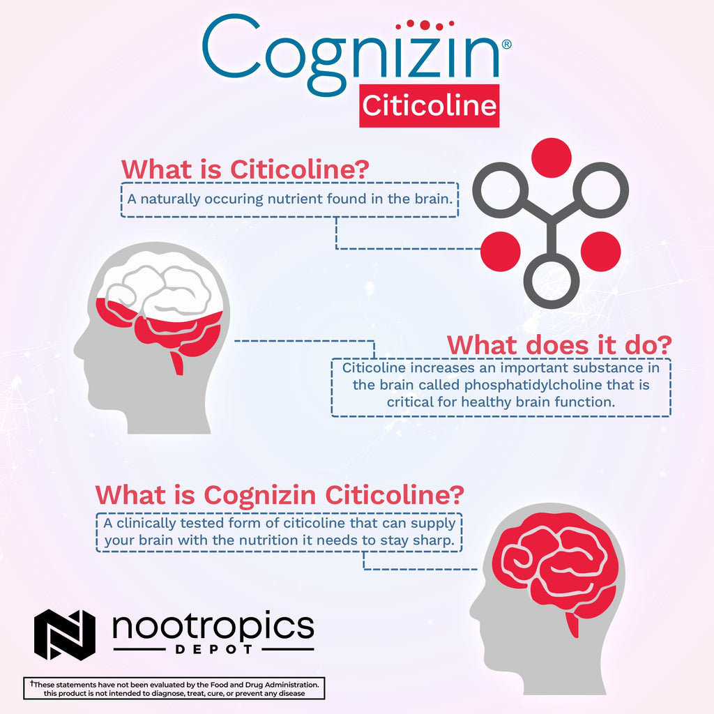 Nootropics Depot Cognizin Citicoline Capsules | 60 Count | Choline Supplement | Brain Health Supplement | Regulates Memory and Cognitive Function | Supports Attention, Focus and Recall Nootropics Depot Au supplements