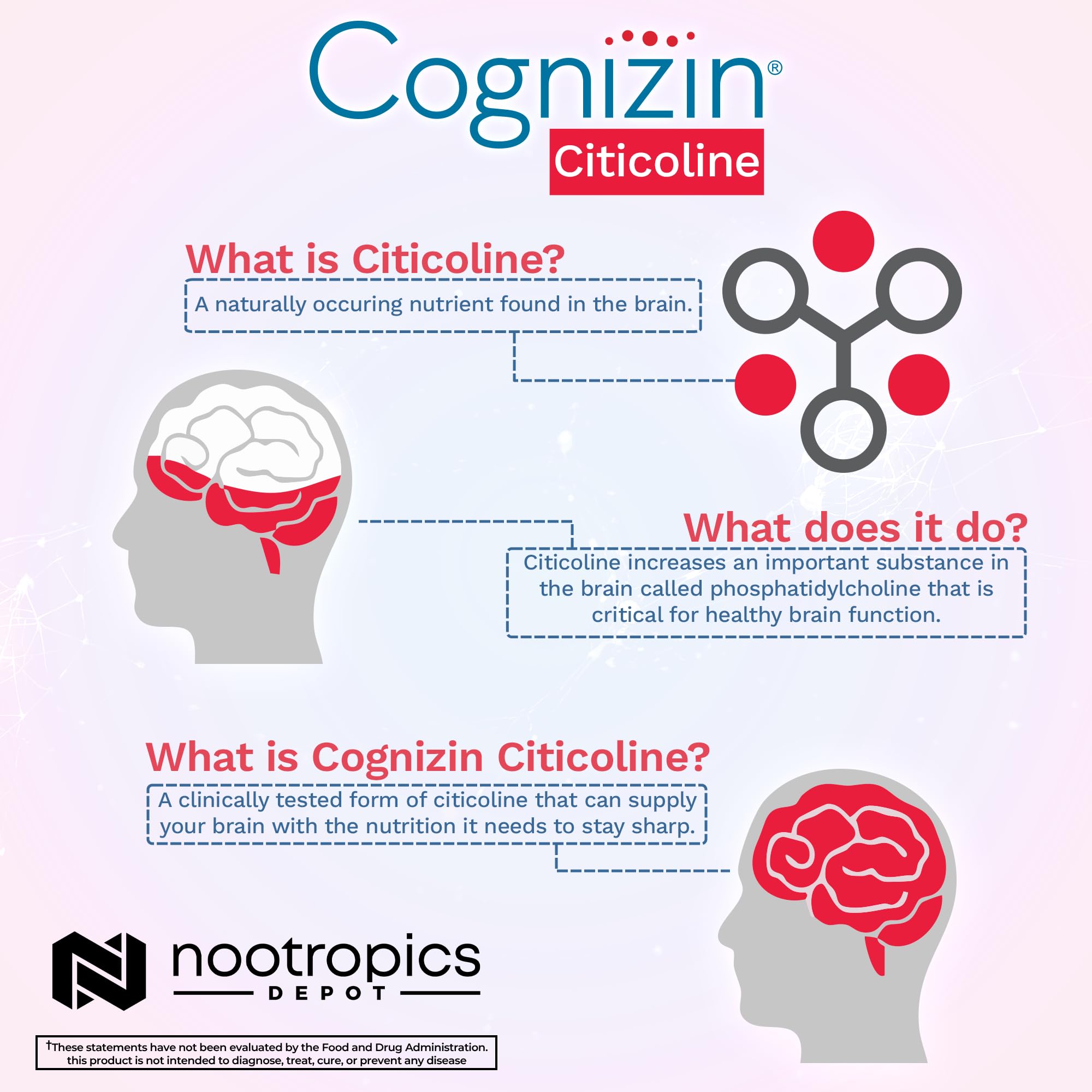 Nootropics Depot Cognizin Citicoline Capsules | 60 Count | Choline Supplement | Brain Health Supplement | Regulates Memory and Cognitive Function | Supports Attention, Focus and Recall Nootropics Depot Au supplements