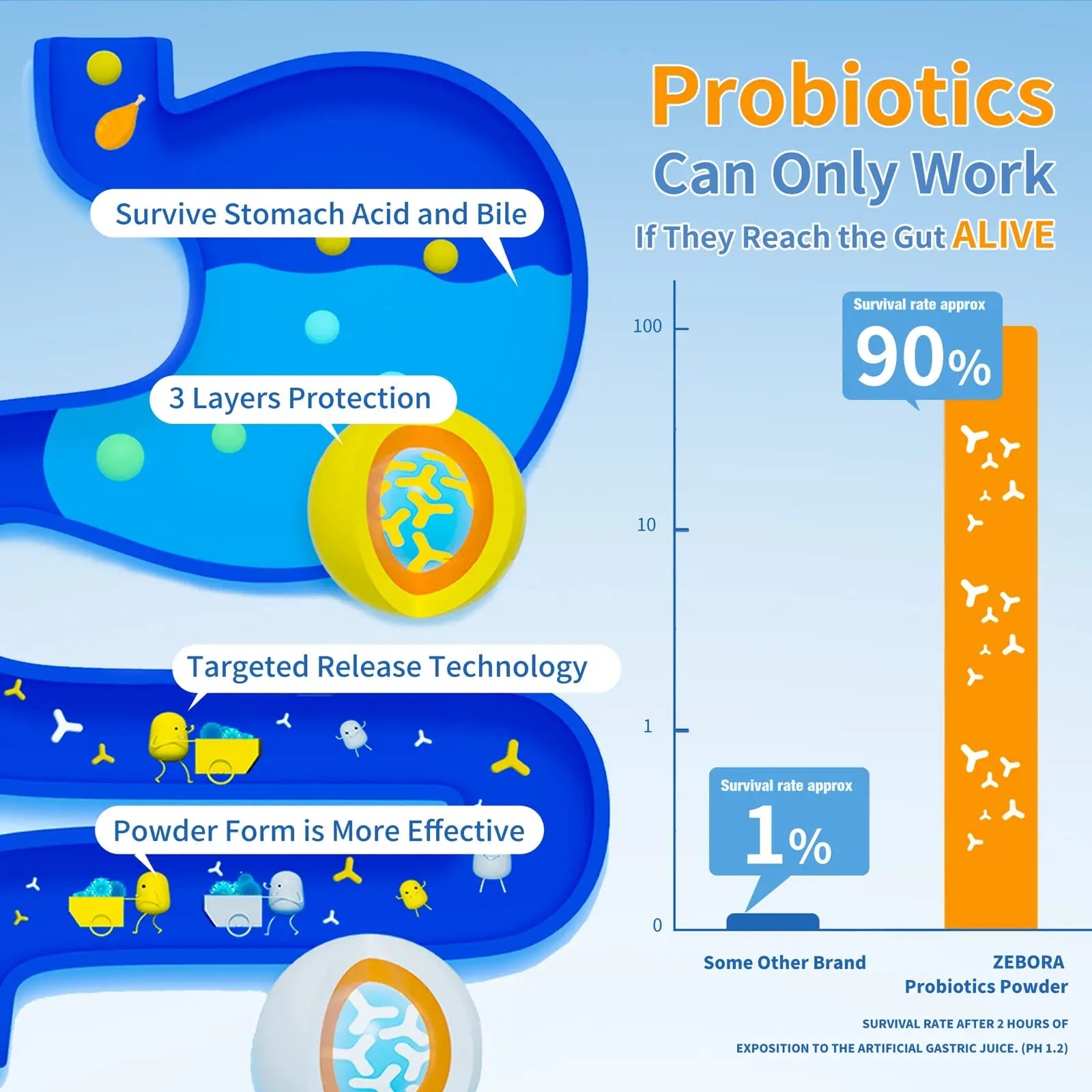 ZEBORA Probiotics for Women, Men and Kids, Prebiotics and Probiotics Powder ZEBORA Au supplements