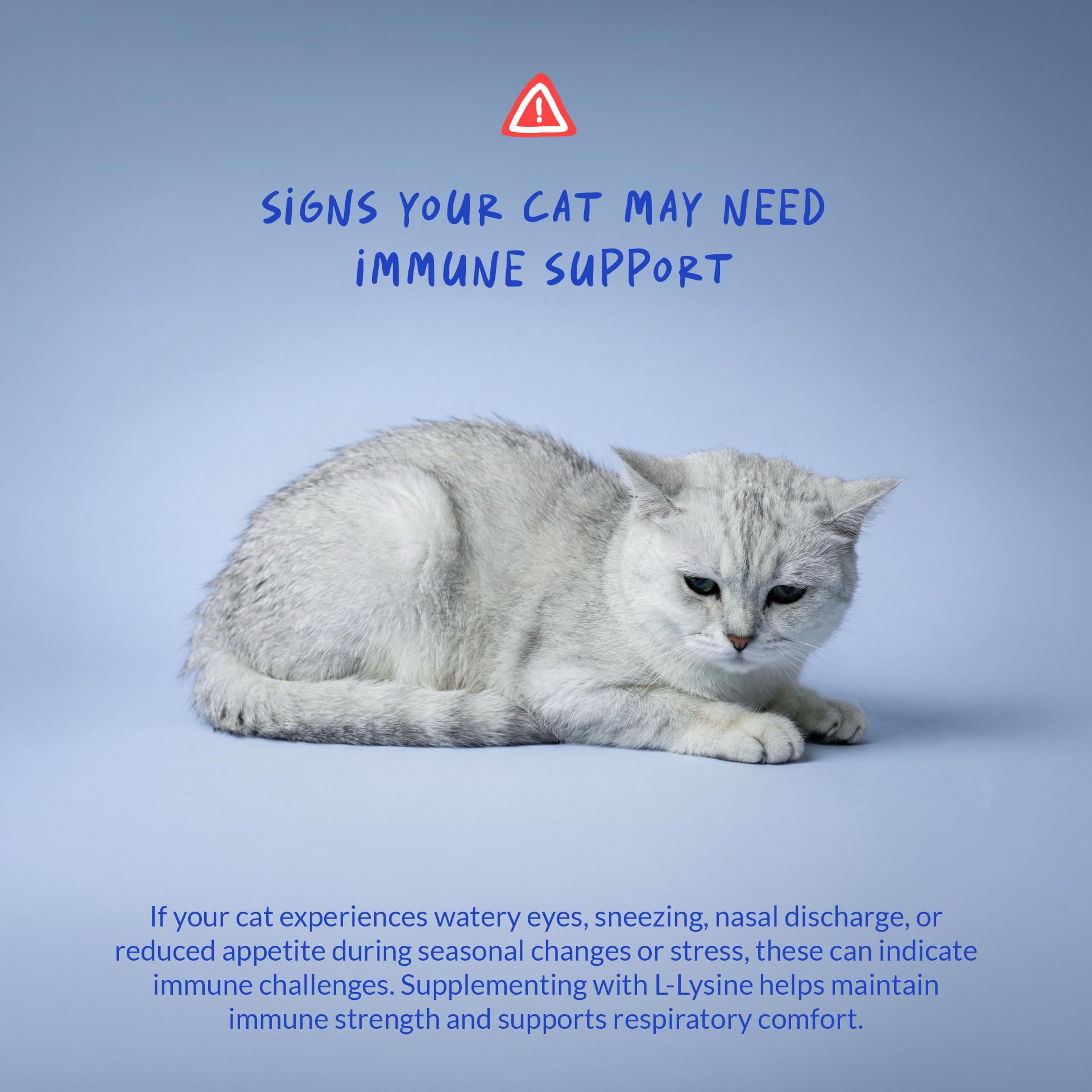 L-Lysine Supplement for Cats 900mg/scoop - Cat Supplement for Sneezing and Runny Nose, Cold, Immune Support, Eye Function