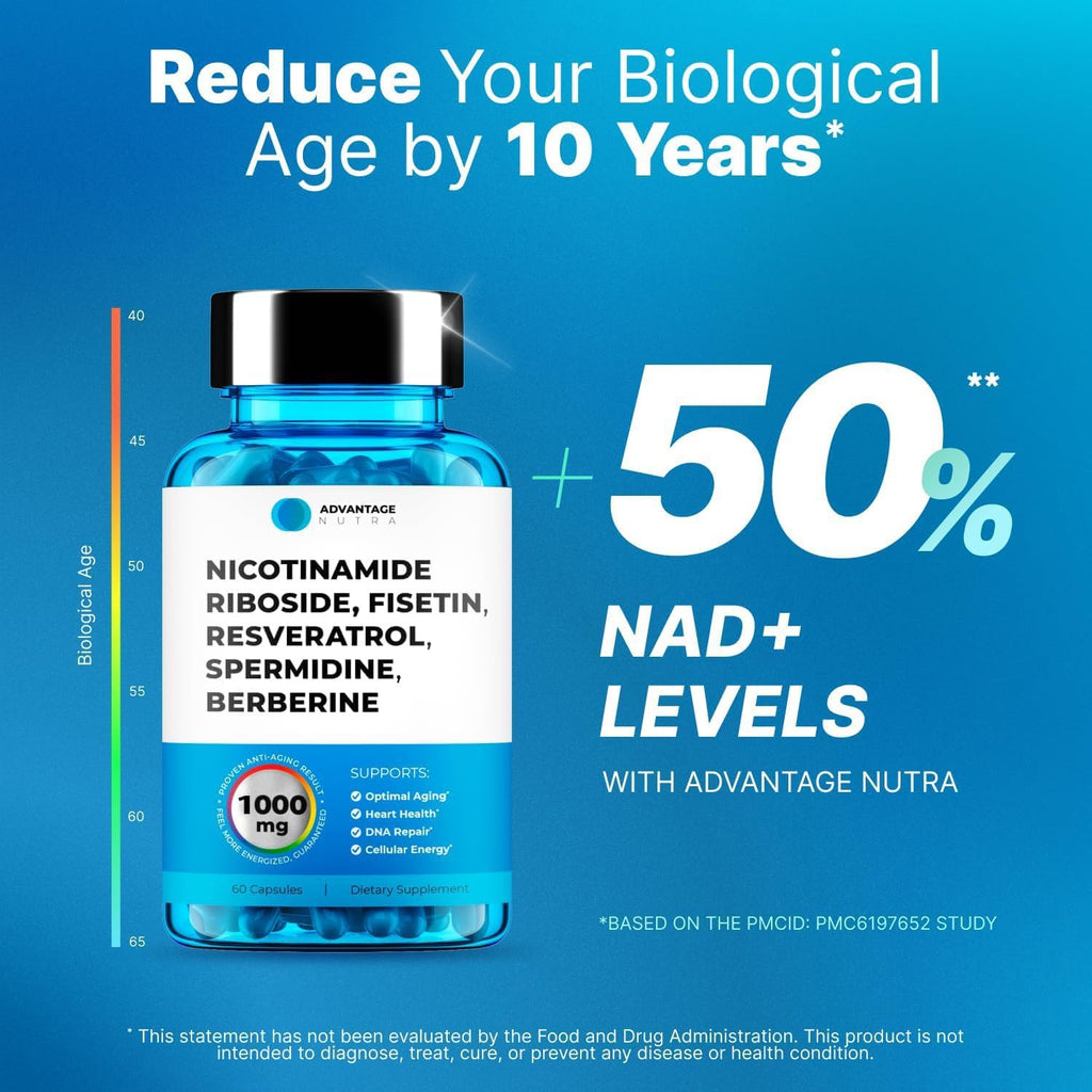 AdvantageNutra Liposomal Nicotinamide Riboside NR Supplement Resveratrol NAD : Nicotinamide 500mg w/Fisetin, Resveratrol Powder Spermidine Berberine NAD Resveratrol Supplement 500 mg - 60 caps 1 Pack AdvantageNutra Au supplements