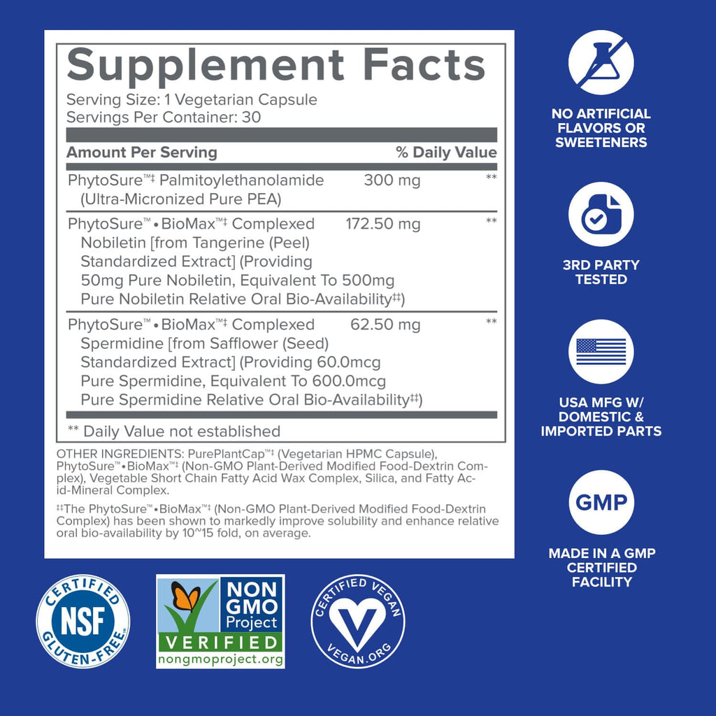 Gundry MD® Bio Sync Supplement for Daytime Energy, Supports Focus and Memory†* - (30 Capsules)