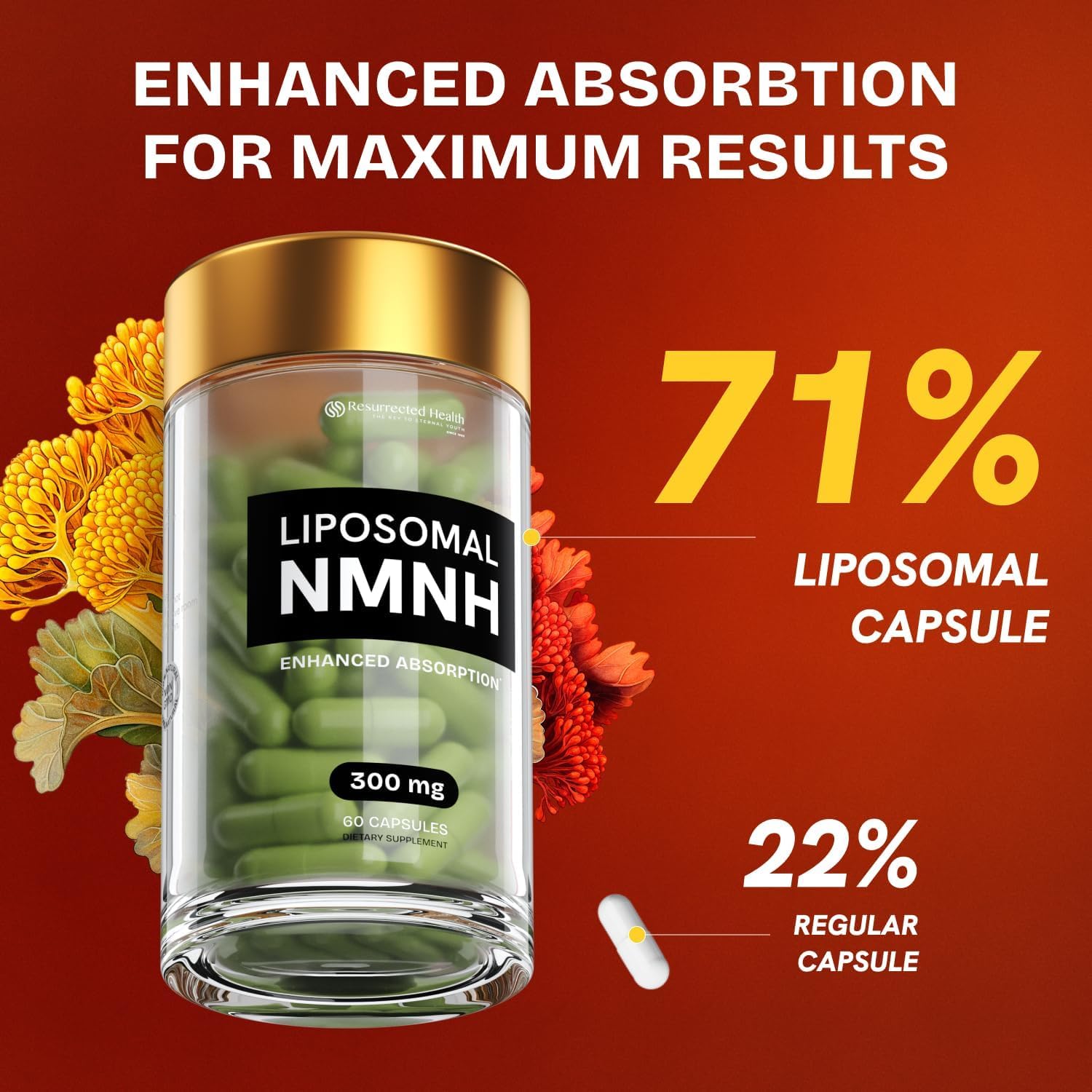 Resurrected Health Liposomal NMNH Supplement 300mg – Boosts NAD Anti-Aging, Energy & Focus – NMM Capsules Alternative to for Cellular Vitality – Third-Party Tested, 60 Vegan Capsules | 1 Pack Resurrected Health Au supplements