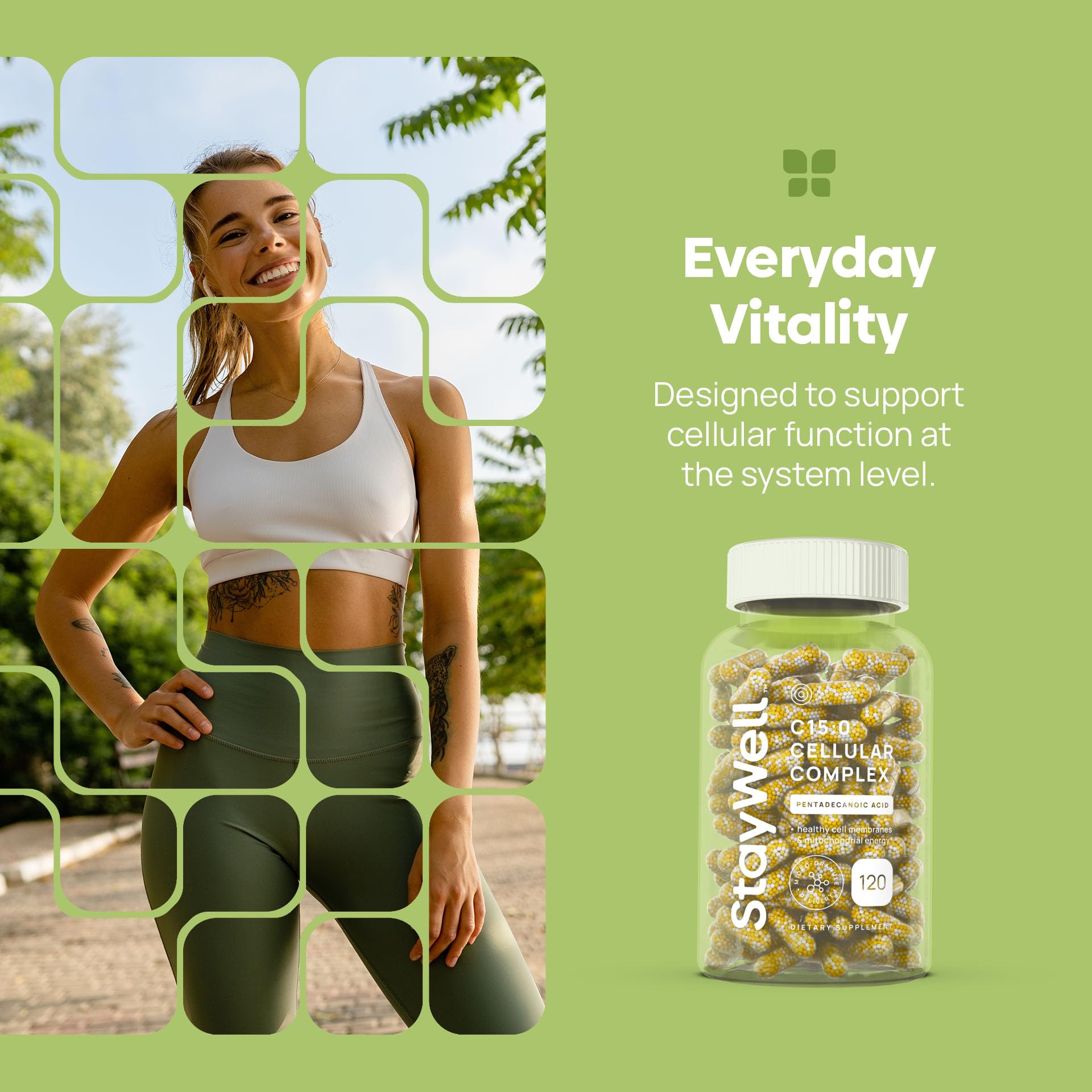 C15:0 Pentadecanoic Acid Supplement | Longevity, Cellular & Membrane Support, Micro-Granule Enhanced Absorption, Phosphatidylcholine, L-Carnitine,