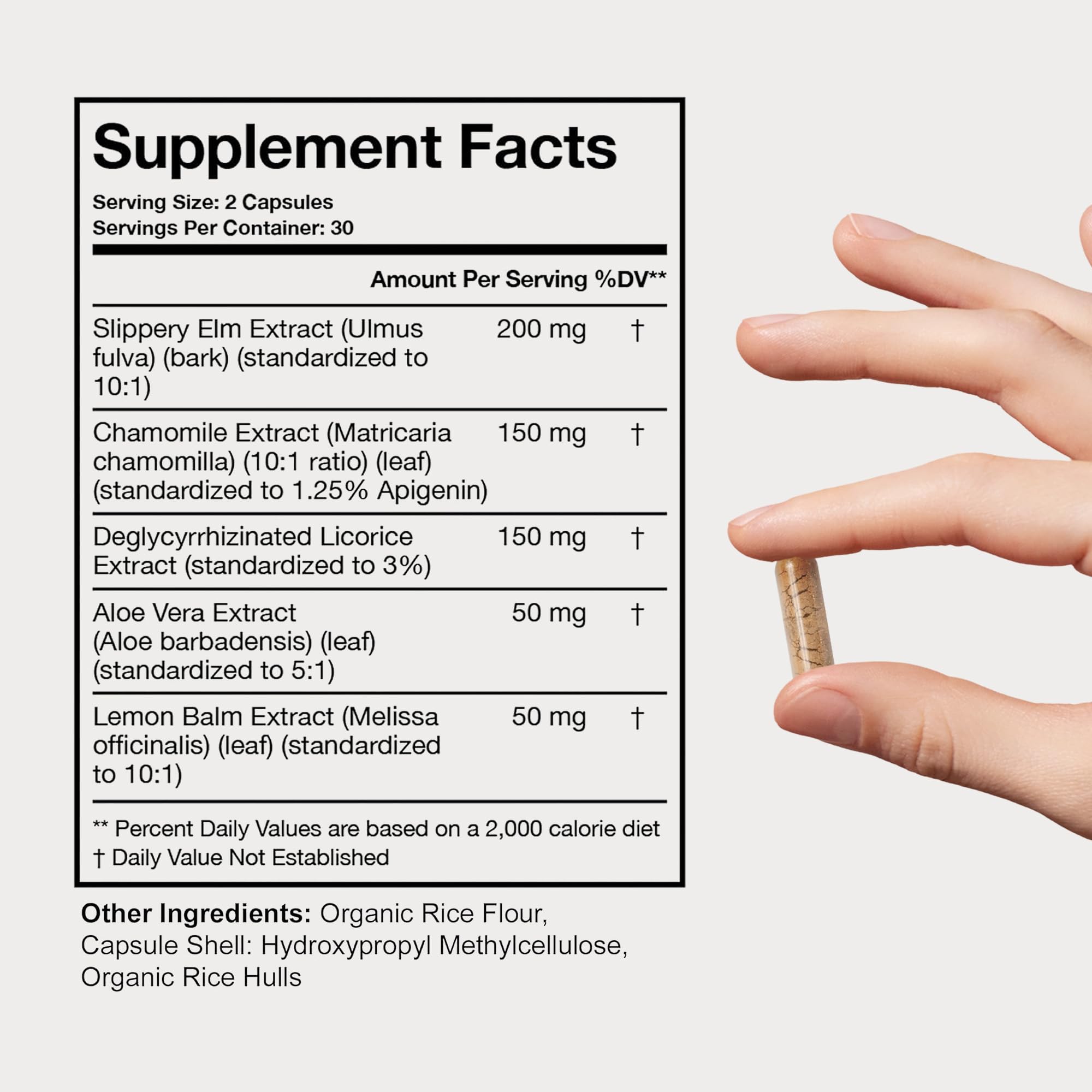Terra Health Essentials Acid Relief - Plant Based Digestive Support Supplement for Comfortable Gut Function - Lemon Balm, Slippery Elm,