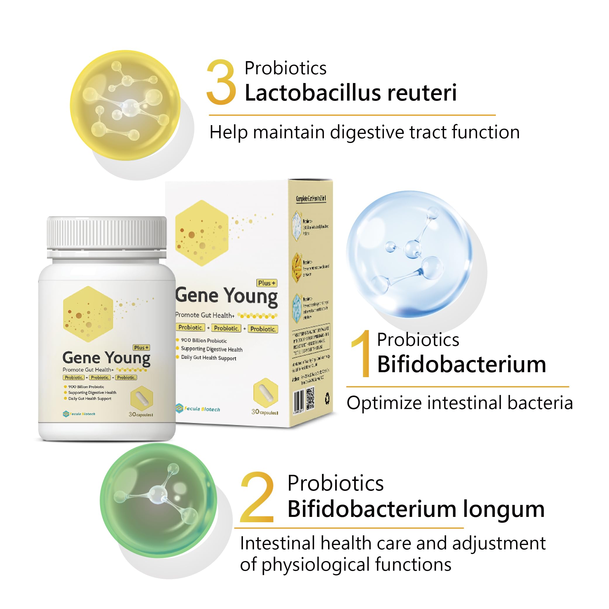 Fecula Biotech Synbiotic for Gut Health | 3-in-1 Daily Prebiotic, Probiotic, Postbiotic for Digestive Health, Bloat & Immune Support