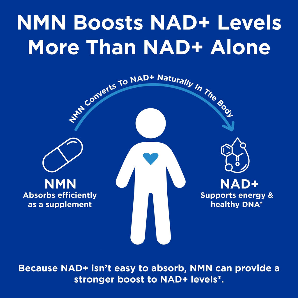 GNC Preventive Nutrition NMN, 150 mg, NAD+ Booster Supplement for Cellular Energy & DNA Repair, Anti-Aging Support, 60 Capsules, Gluten Free, 60 svg GNC Au supplements