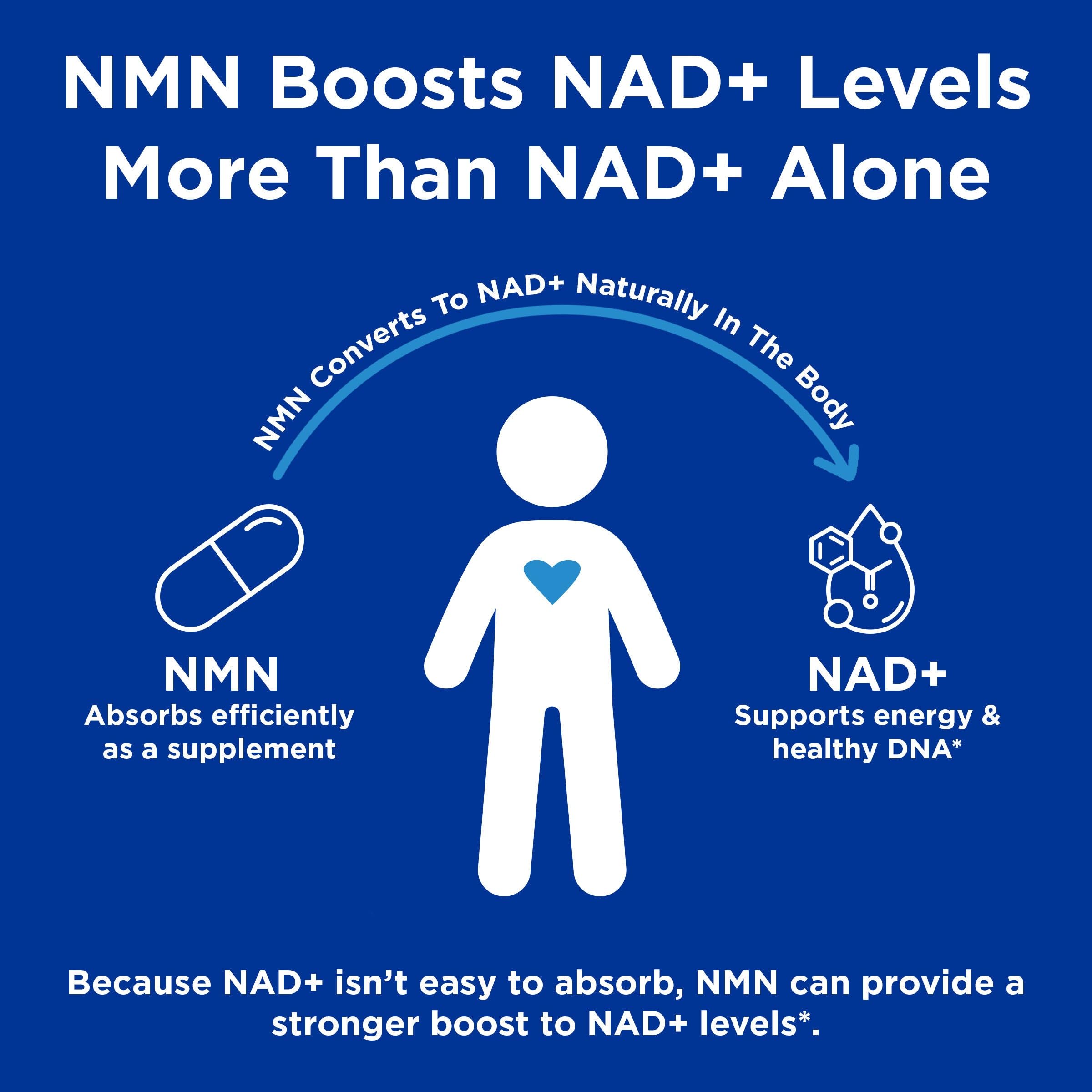 GNC Preventive Nutrition NMN, 150 mg, NAD+ Booster Supplement for Cellular Energy & DNA Repair, Anti-Aging Support, 60 Capsules, Gluten Free, 60 svg GNC Au supplements