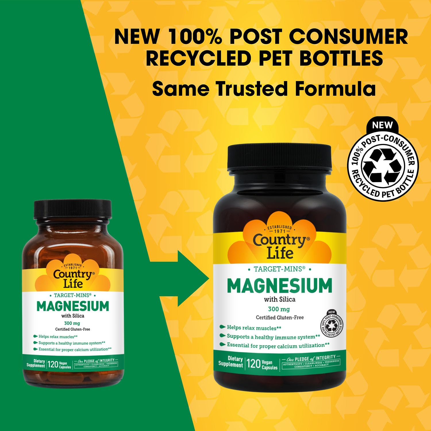 Target-Mins Magnesium with Silica 300 mg 120 Vegetarian Capsules Country Life Au supplements