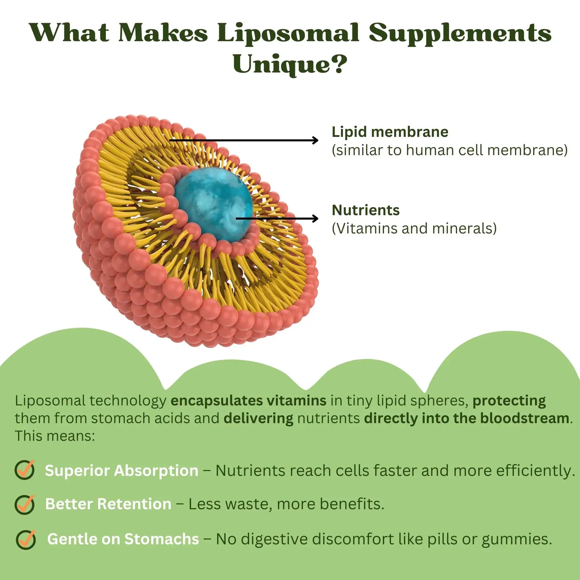 Vitaminally Liposomal Kids Liquid Multivitamin | Non-GMO | Clean | Sugar Free | Gluten Free | Organic Berry Flavors | Vitaminally Au supplements
