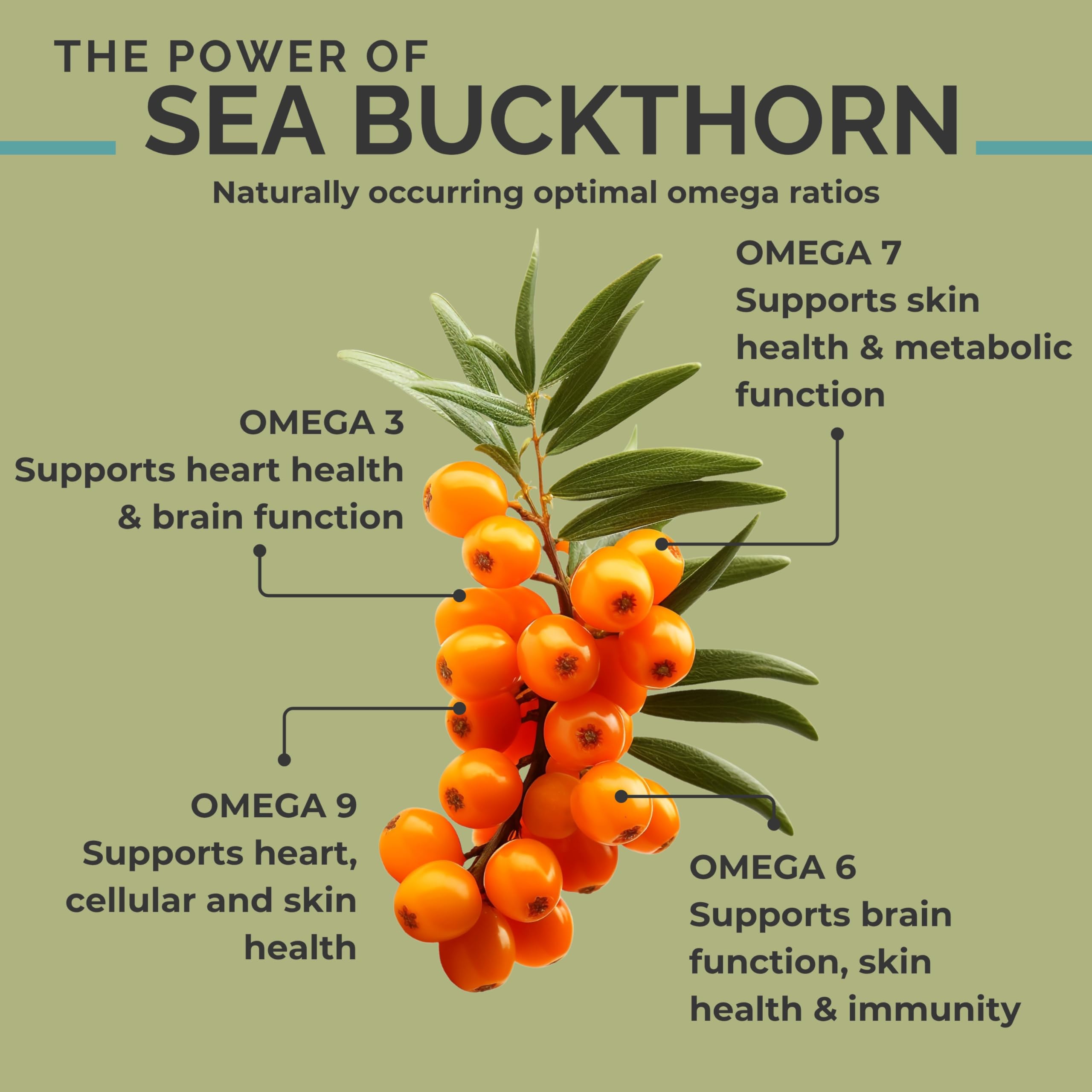 SeabuckWonders Organic Sea Buckthorn Oil Omega-7 Complete,120 Softgels, 60 Day Supply, with Omega 3, 6 & 9, Supports Hair