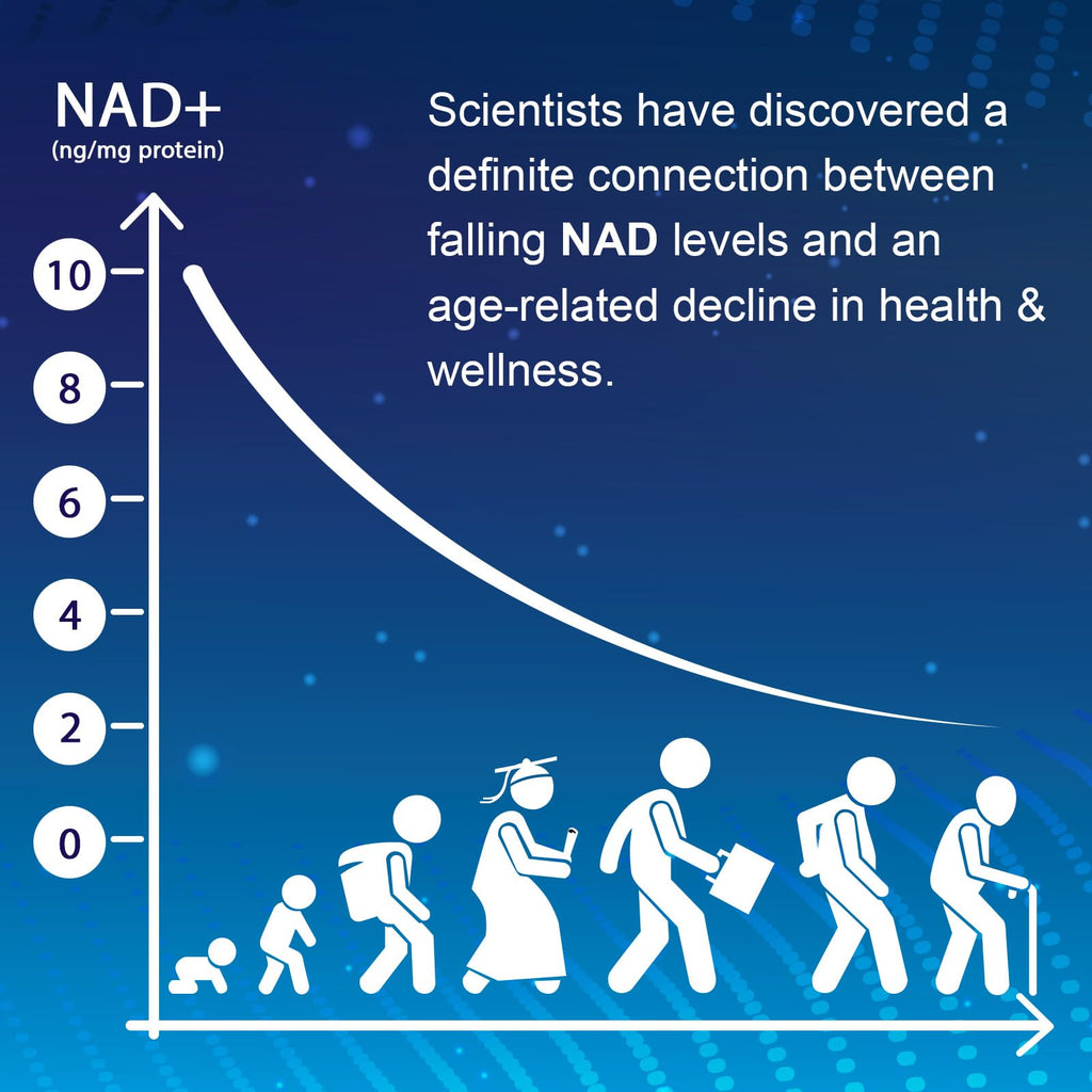 NMNH (Dihydronicotinamide Mononucleotide), NAD Supplement to Boost NAD+ Levels as We Age (May Be More Effective Than Nicotinamide Riboside), NMNH Supplement for Anti-Aging, 60 Capsules (60 Servings) Ucessuyy Au supplements
