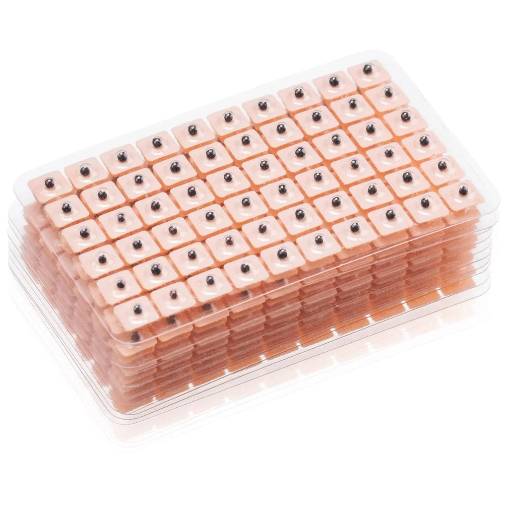 1200 Piece Acupressure Ear Beads Ear Counts Acupuncture Acupressure Tools Disposable Honoson Au supplements