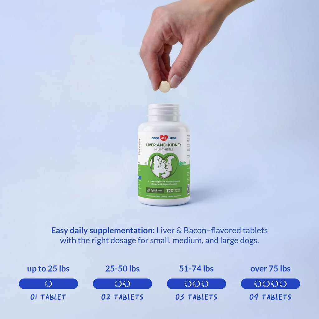 Milk Thistle for Dogs - 120 Chewable Tablets - Silymarin - Liver and Kidney Support with EPA & DHA - Detox - Liver Supplement for Dogs