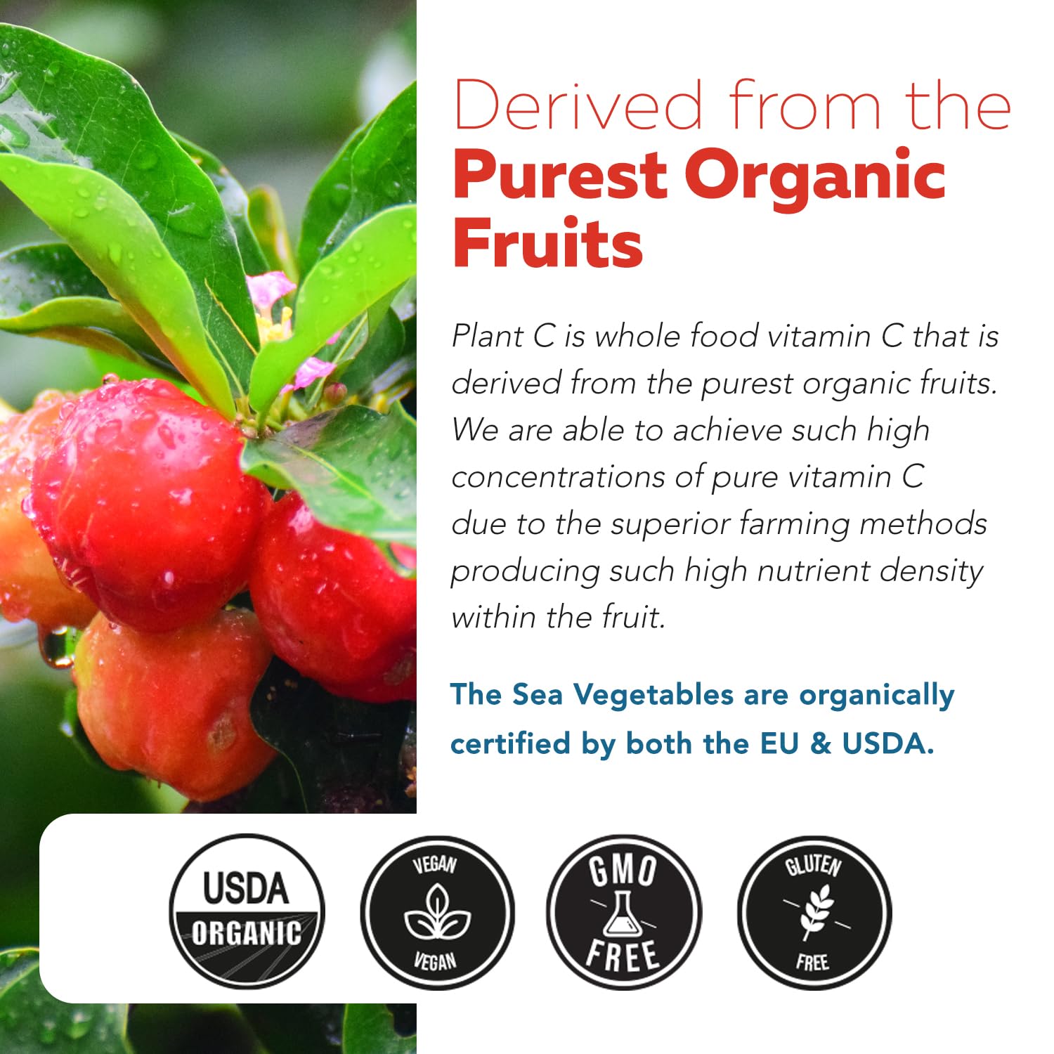 Organic Vitamin C | Whole Food Vitamin C from Fruit Plus Absorption Enhancing Cofactors - Vegan, Enhanced Bioavailability - Immune Support