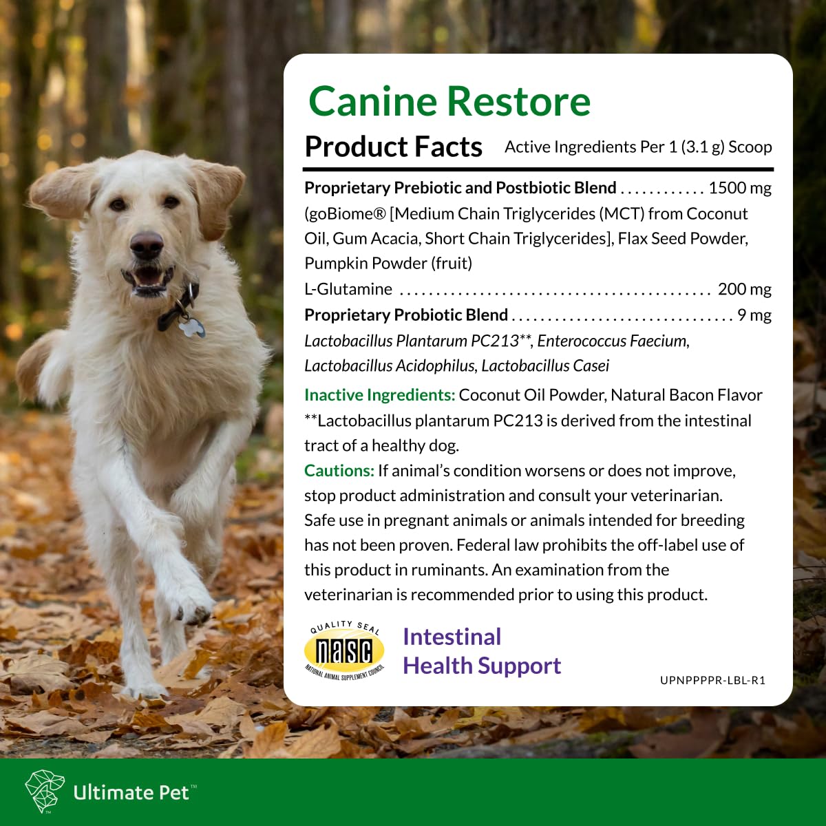 Ultimate Pet Nutrition Canine Restore, Gut Health Supplement with Prebiotics, Probiotics, & Postbiotics for Digestive Health & Immunity Support, Vet Formulated Powder Food Topper ULTIMATE PET NUTRITION Au supplements