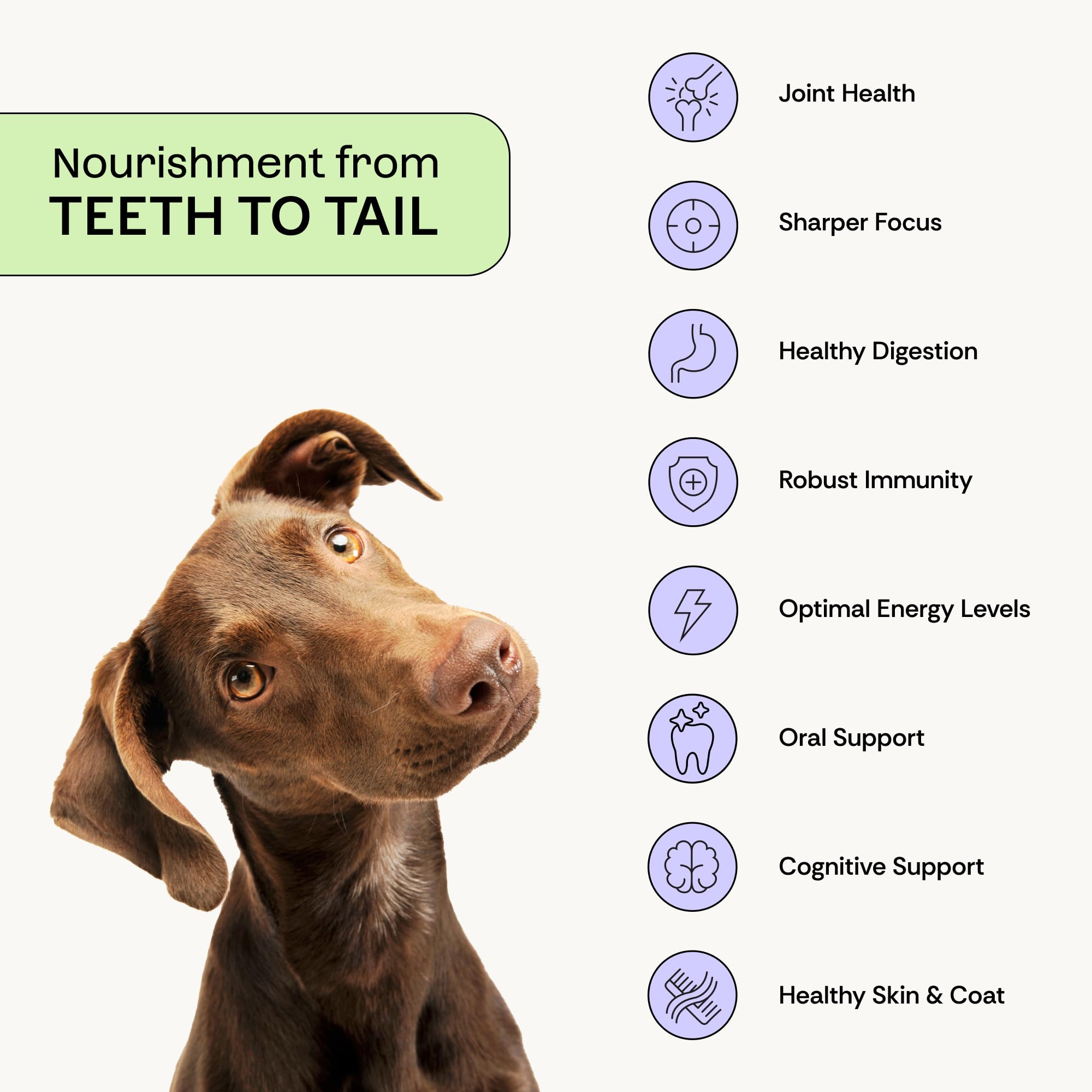 Daily Prebiotic + Postbiotic Dog Supplement Powder | 12-in-1 Support for Gut, Joints, Allergy, Immunity, Calming & Oral Health | Human-Grade Ingredients, No Artificial Flavors-No Fillers - 30 Sachets Plentum Au supplements