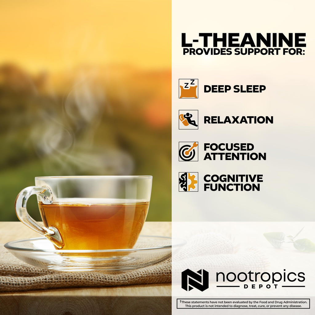 Nootropics Depot L-Theanine Capsules 200mg (180 Count) | Promotes Relaxation | Supports Healthy Stress Levels + Sleep Cycles | Promotes Cognitive Function + Focus | Amino Acid Supplement Nootropics Depot Au supplements