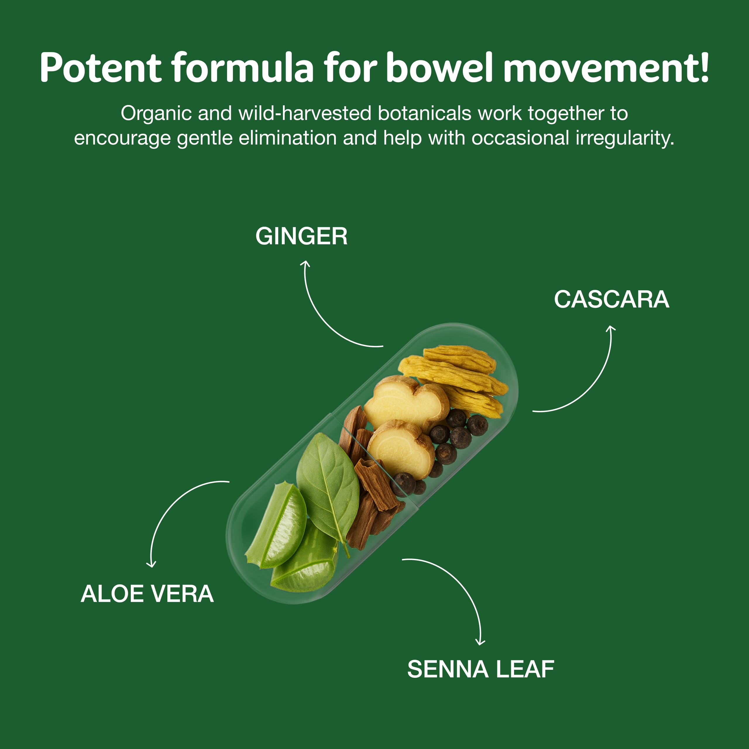 Simply Herbs Easy Go Bowel Mover - Adult Cleansing Supplement for Colon Health Support - Bowel Movement Aid - Stool Softener - Daily-Use Laxative - Plant-Based Ingredients - Vegan - 100 Count (2 Pack) Dr. Schulze's Au supplements