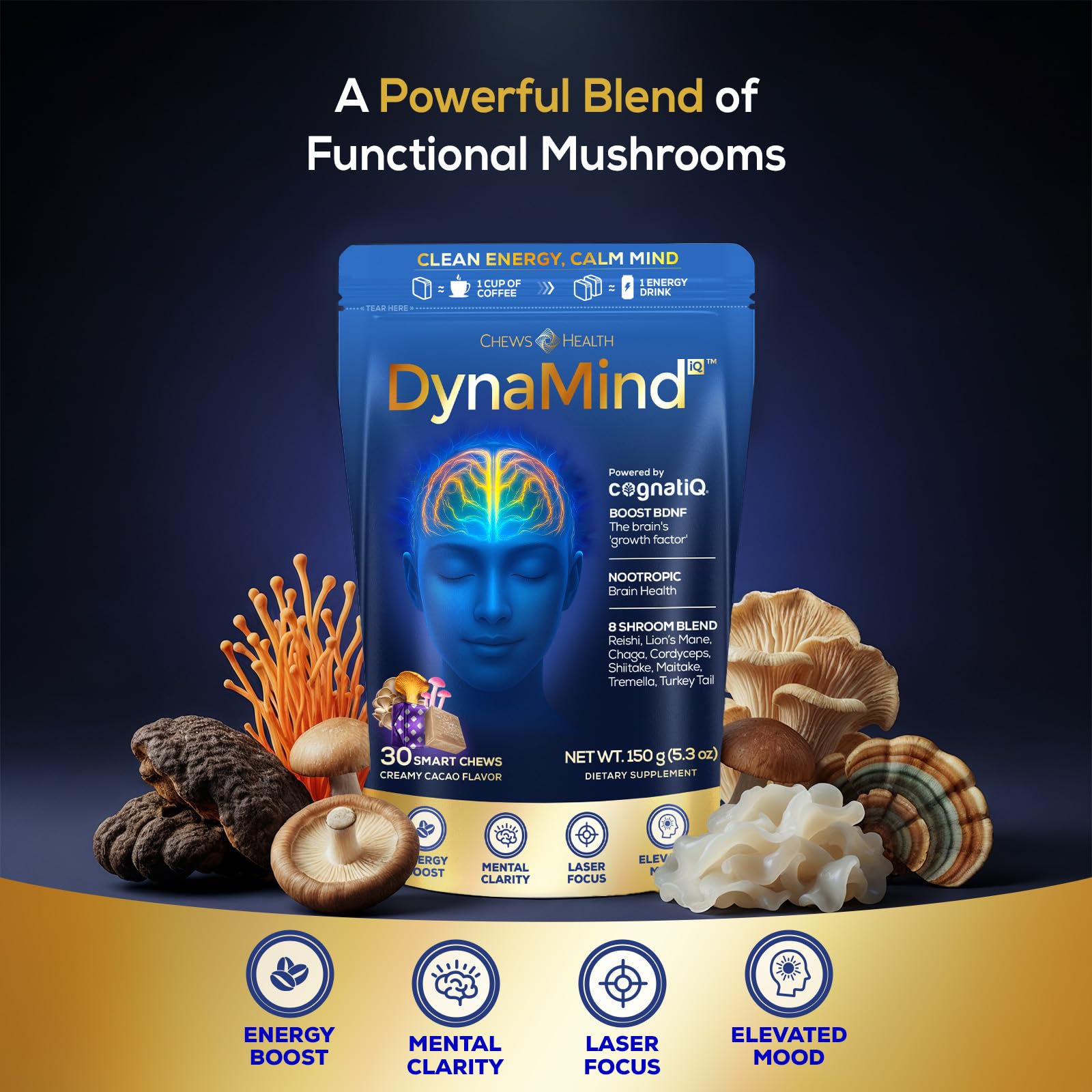 DynaMind iQ Brain Supplement for Memory and Focus for Adults - Nootropic Chews | Coffee Fruit & Mushroom Supplement Blend, Memory Focus Supplement, Caffeine Focus Pills Alternative, 30 Count CHEWSHEALTH Au supplements