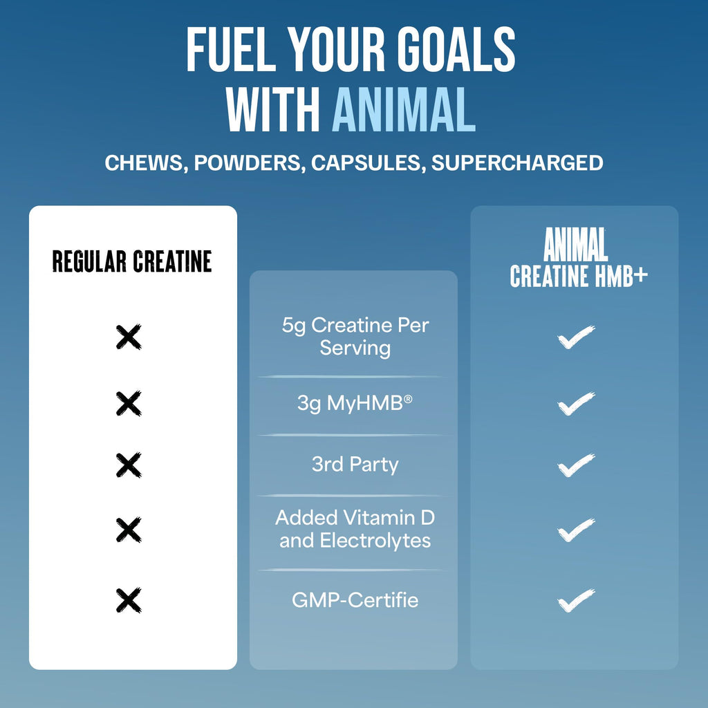 Animal Creatine HMB Powder – 3g myHMB + 5g Creatine with Electrolytes for Recovery & Daily Energy – Power Punch Flavor, 30 Servings
