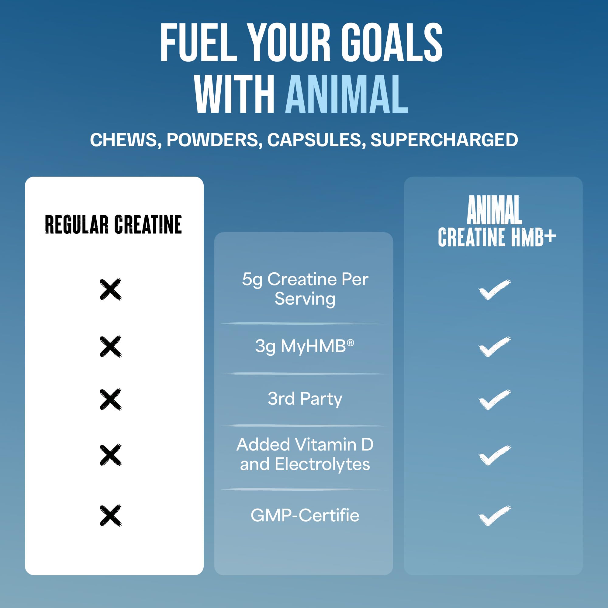 Animal Creatine HMB Powder – 3g myHMB + 5g Creatine with Electrolytes for Recovery & Daily Energy – Power Punch Flavor, 30 Servings