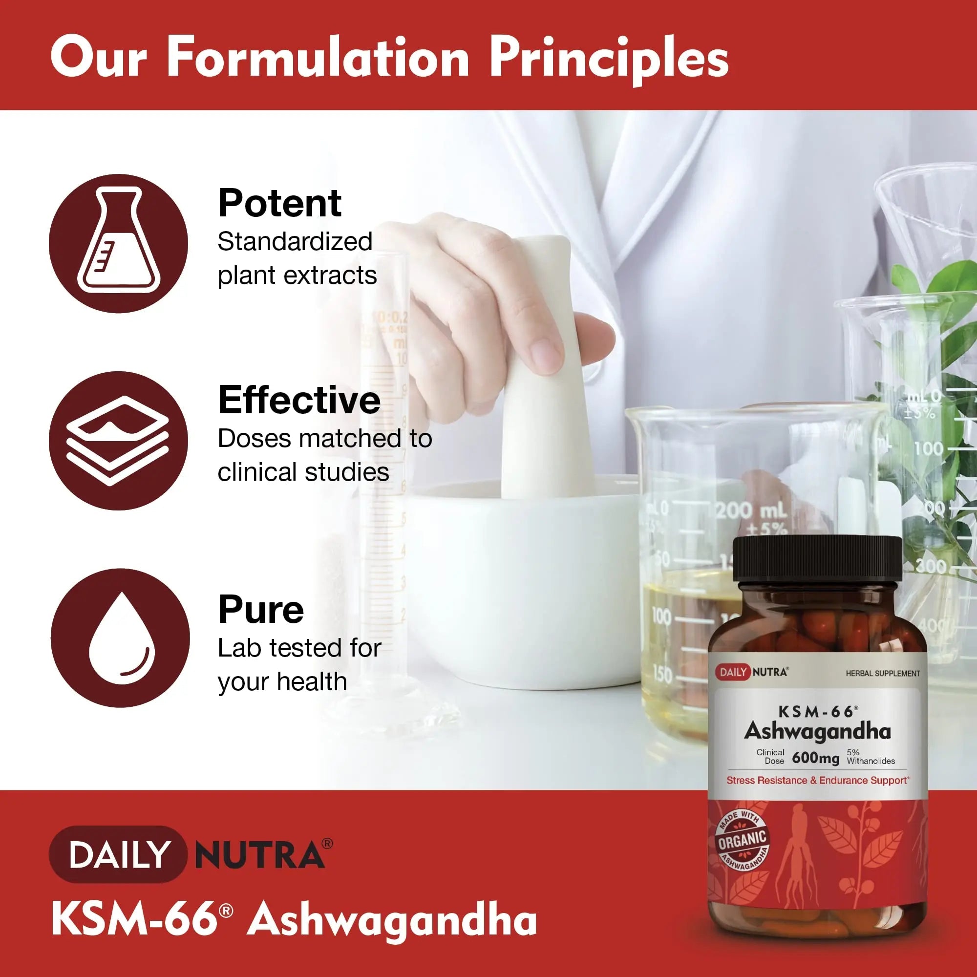 DailyNutra KSM-66 Ashwagandha 600mg Organic Root Extract - High Potency Supplement DailyNutra Au supplements
