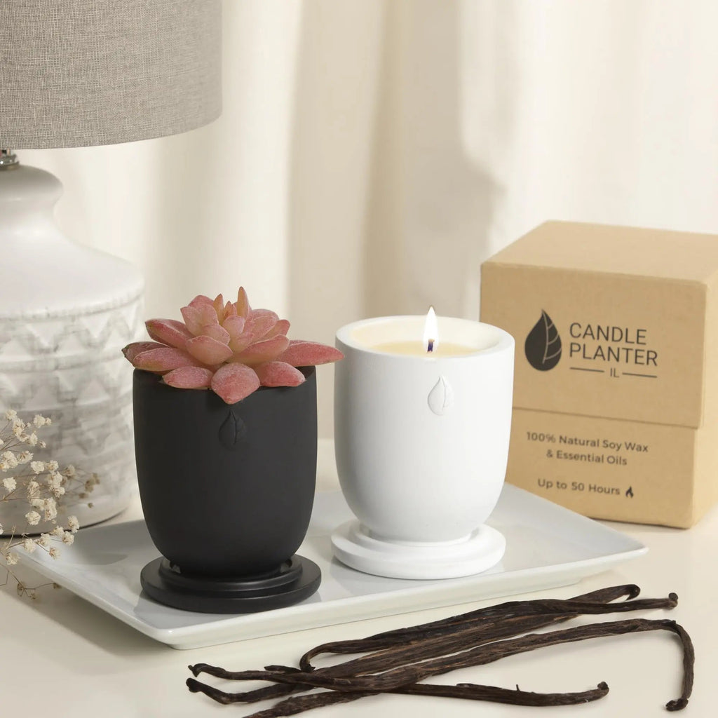 CandlePlanter Concrete Cement Candle Planter - Candles for Home Scented, Soy Candles CANDLEPLANTER Au supplements