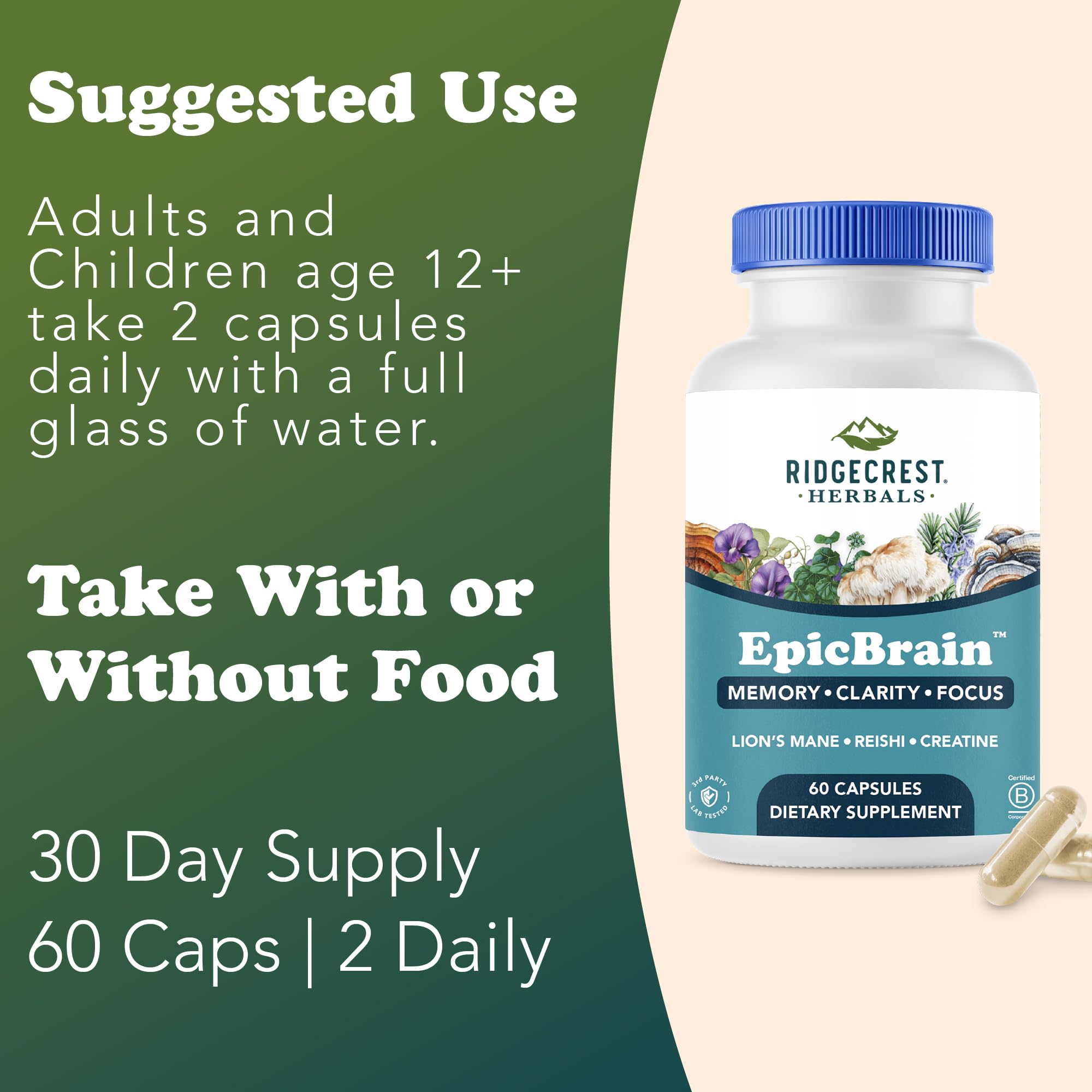 RidgeCrest Herbals EpicBrain, Natural Brain Support Supplement with Creatine Monohydrate, Lion's Mane, Reishi, Supports Mental Clarity, Memory, Focus, Stimulant-Free Nootropic (60 Count, 30 Servings) RidgeCrest Herbals Au supplements
