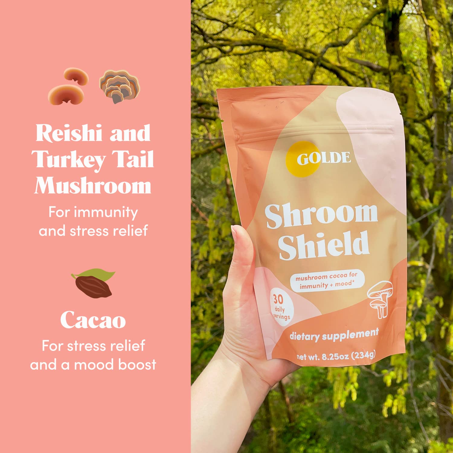 GOLDE Shroom Shield - Plant Based Superfood Blend w/Turkey Tail Mushroom & Reishi Mushroom Extract - Stress Defense - Antioxidants & Prebiotics - Vegan, Keto, & Sugar-Free Hot Cocoa - 30 Servings GOLDE Au supplements