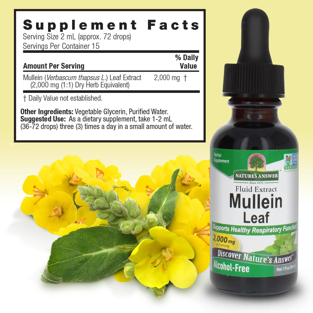 Nature's Answer Mullein Herb - Mullein Leaf Extract for Lungs - Alcohol Free, Non GMO, Made in USA - Supports Respiratory Function & Promotes Healthy Lungs