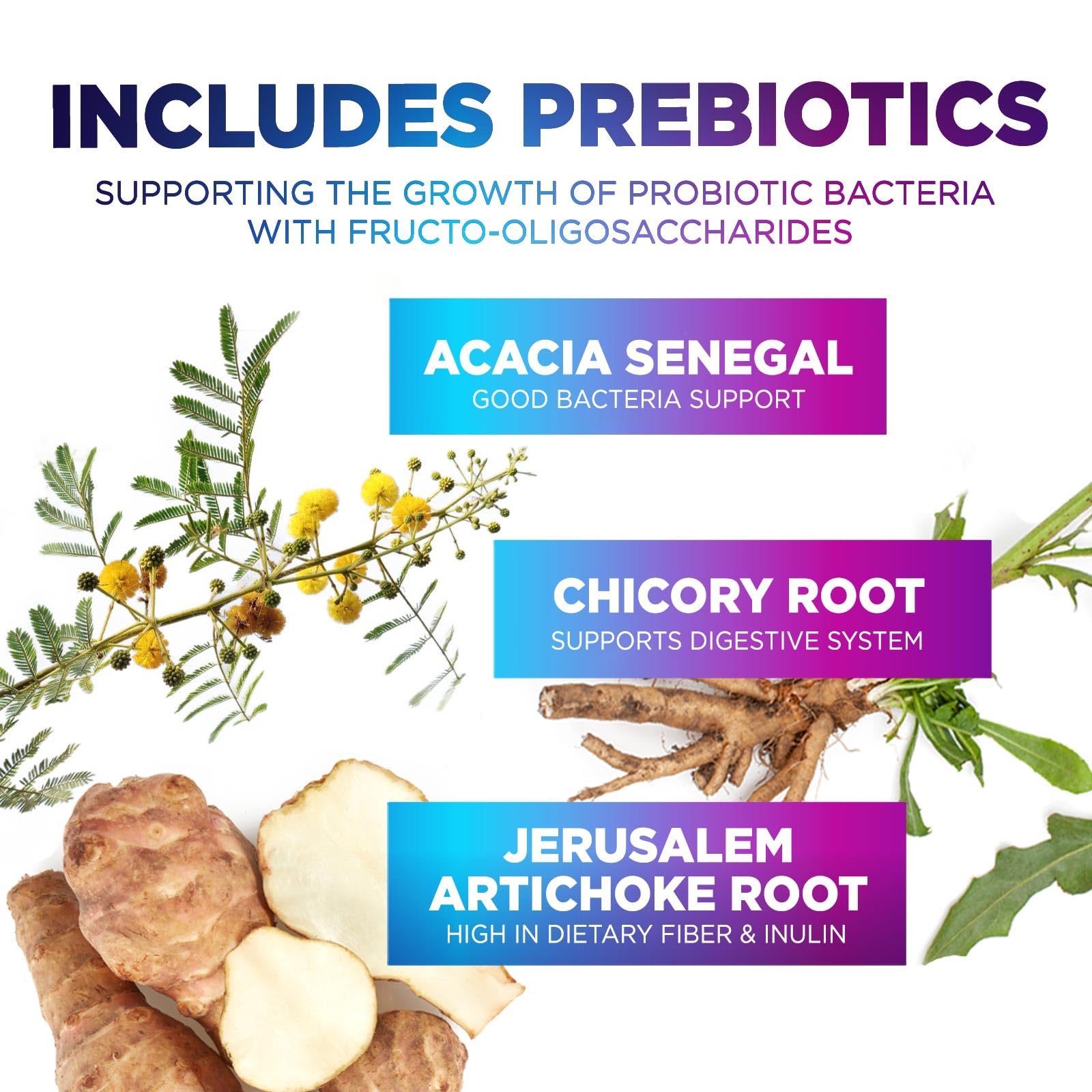 Probiotics 60 Billion CFU - 10 Strains + Digestive Enzymes & Prebiotics - Best Probiotic for Women & Men, Supports Immune, Gut Health, Occasional Constipation, Diarrhea, Gas & Bloating - 60 Capsules Nature's Peak Au supplements