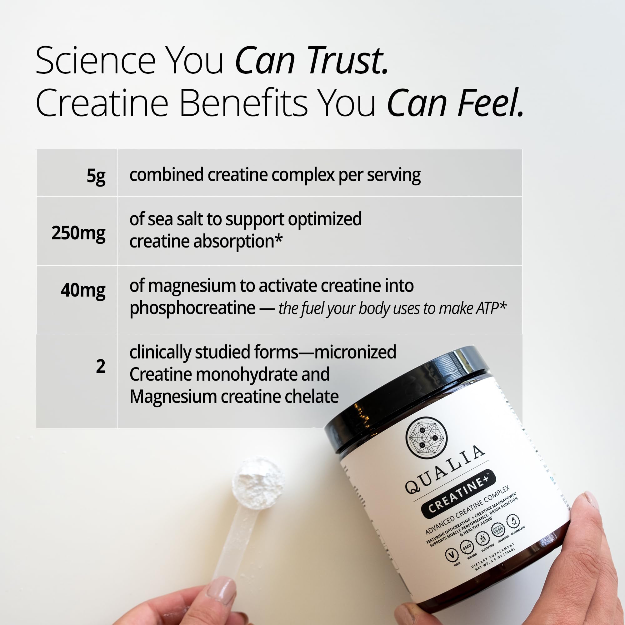 Qualia Creatine | Advanced Creatine Complex | 2 Sources + Magnesium | Optimized Absorption | Muscle Performance, Brain Function, & Healthy Aging (30 Servings) QUALIA LIFE SCIENCES Au supplements