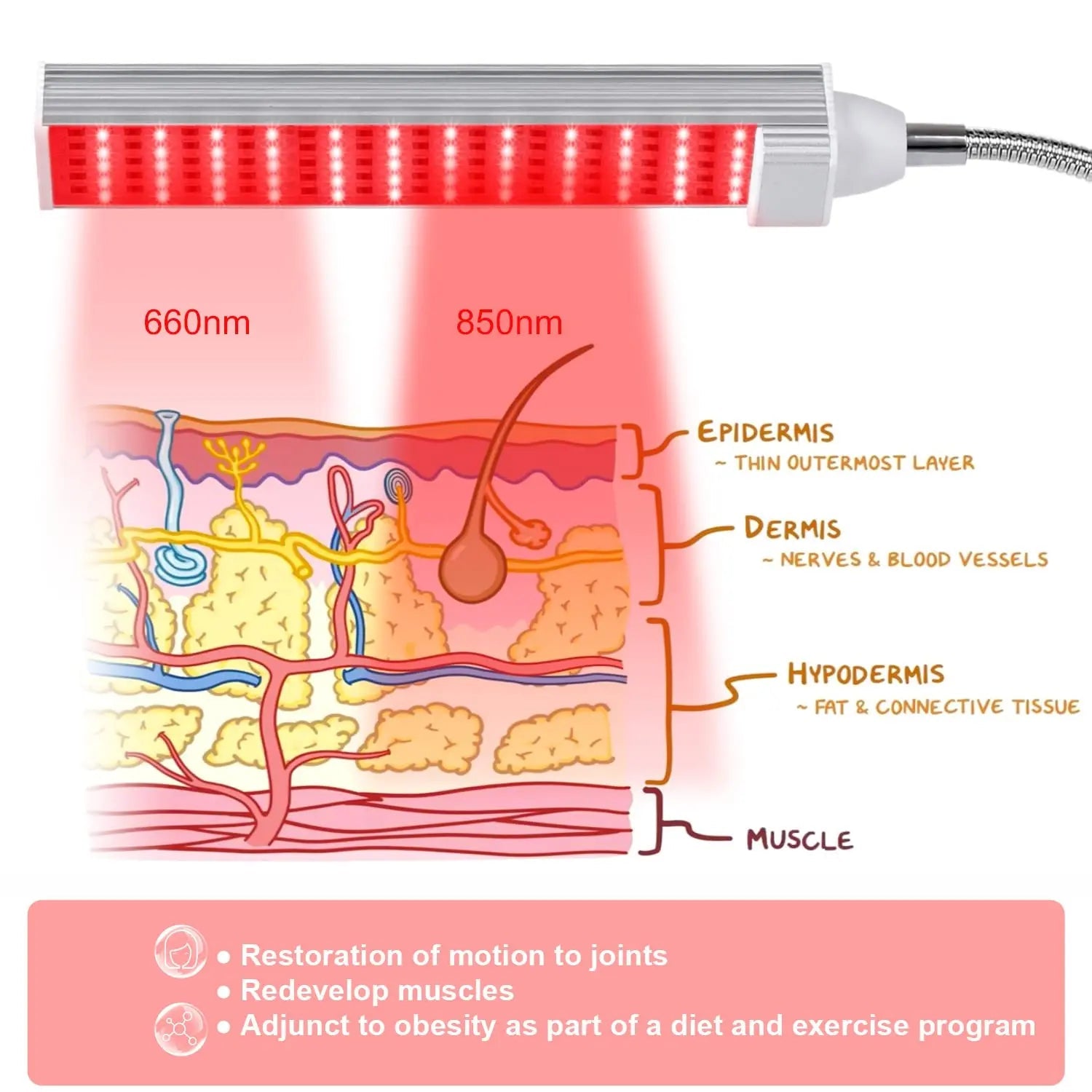MAINENG Infrared & Red Light Therapy Lamp with Timer, 660nm & 850nm LED - M7685 MAINENG Au supplements
