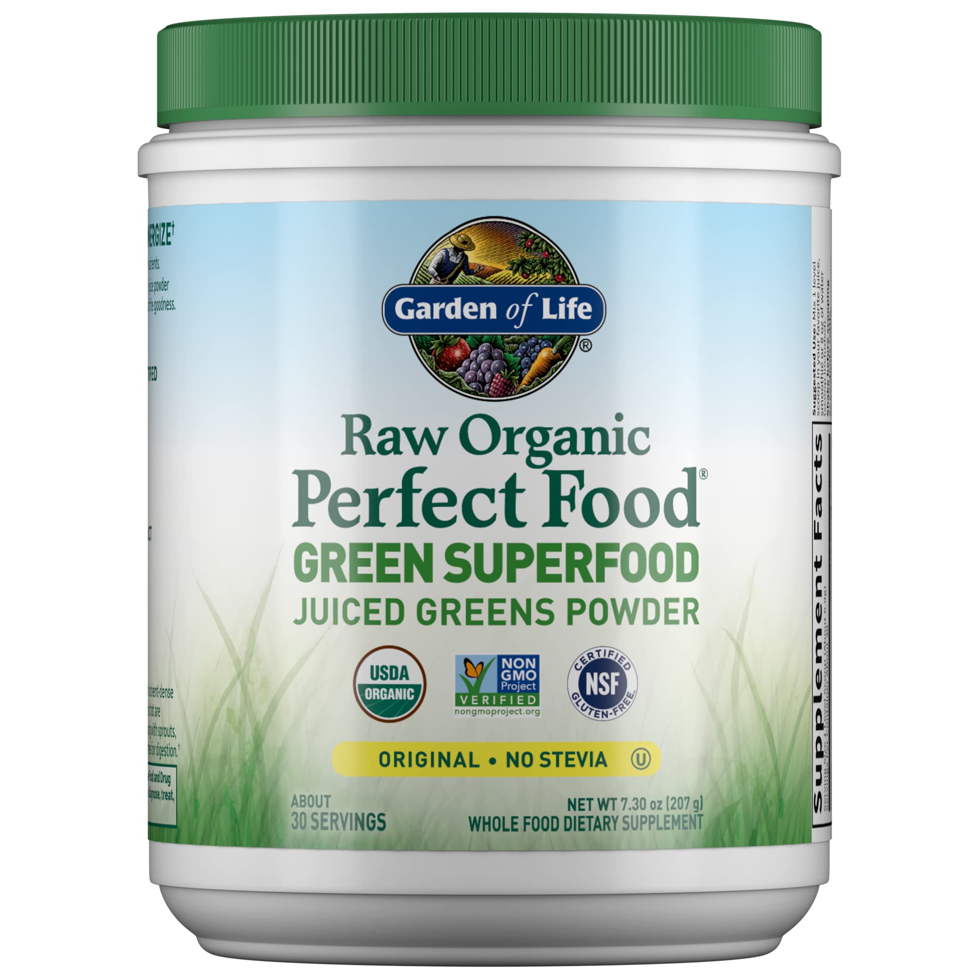 Garden of Life Raw Organic Perfect Food Green Superfood Juiced Greens Powder - Original Stevia-Free, 30 Servings, Non-GMO, Gluten Free Whole Food Dietary