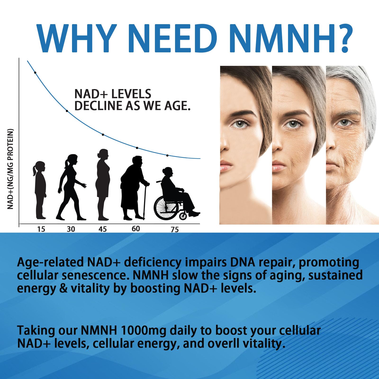 YZQ WAIDE NMNH (Dihydronicotinamide Mononucleotide), 1000mg NMNH Supplement to Boost NAD+ Levels Resveratrol Supplement with Quercetin for Energy, Aging, Non-GMO, Gluten Free, 120 Capsules YZQ WAIDE Au supplements