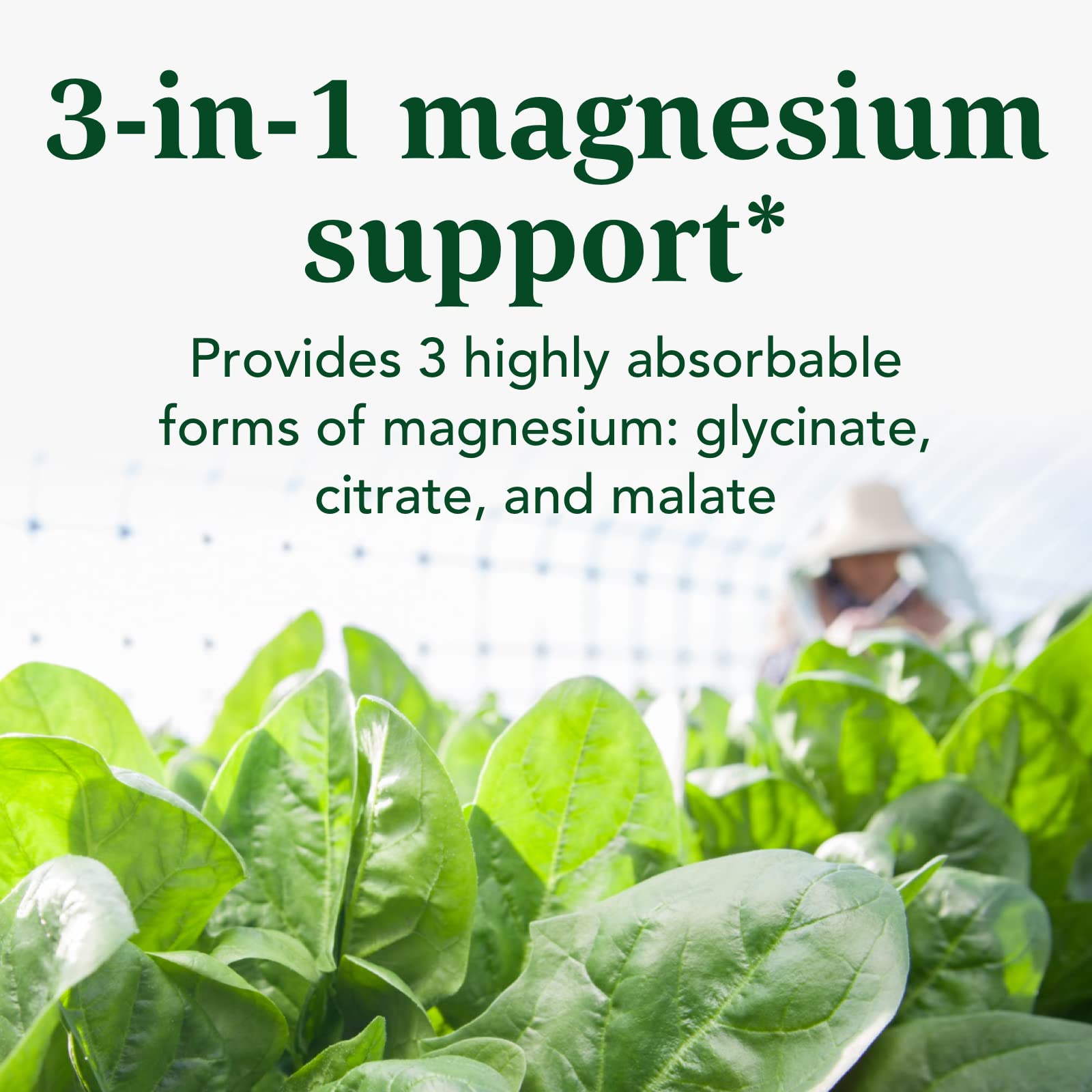 INNATE Response Formulas Magnesium 300 mg - Mineral Supplement for Muscle Relaxation - Vegetarian and Gluten-Free - 120 Capsules (60 Servings) INNATE Response Formulas Au supplements