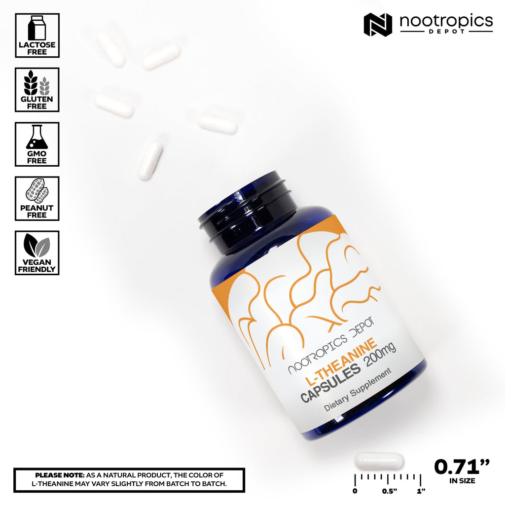 Nootropics Depot L-Theanine Capsules 200mg (180 Count) | Promotes Relaxation | Supports Healthy Stress Levels + Sleep Cycles | Promotes Cognitive Function + Focus | Amino Acid Supplement Nootropics Depot Au supplements