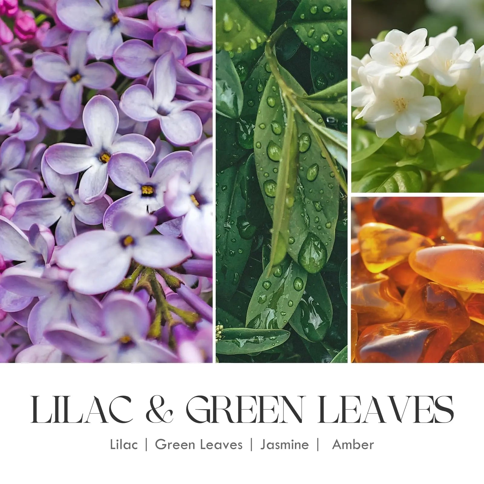 AOOVOO Lilac Candle, Candles Gifts for Women, Green Leaves Lilac Candle, Scented Candle AOOVOO Au supplements