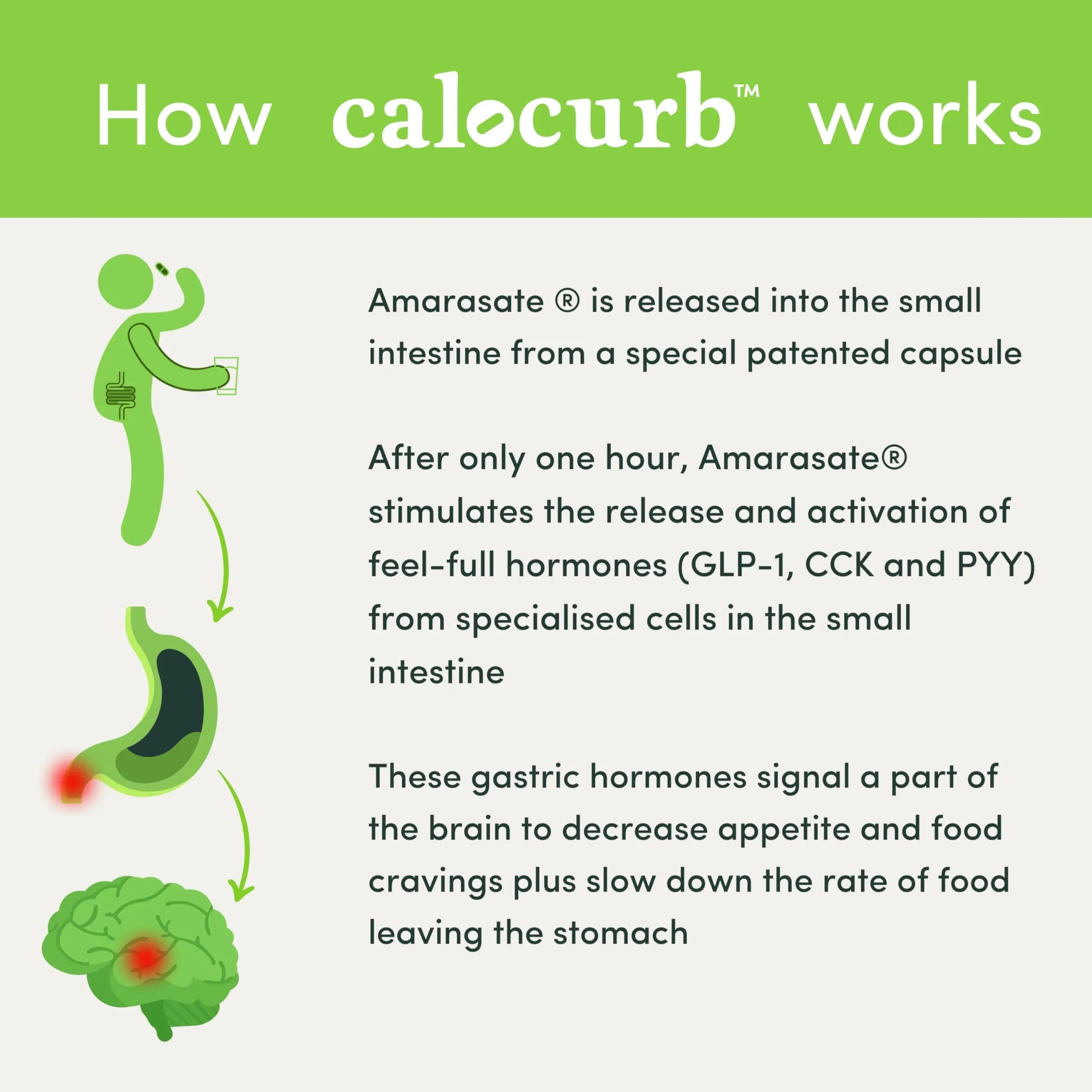 Calocurb Calorie Control Supplement, Natural GLP-1 Activator, 90 Count (1 Month Average Calocurb Au supplements